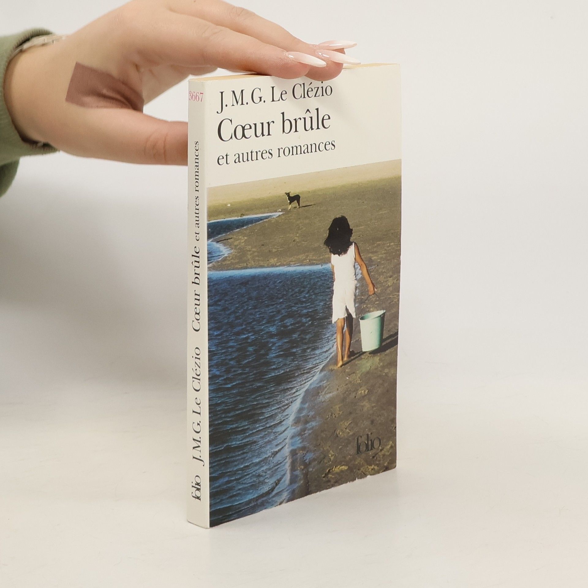 J. M. G. Le Clézio Coeur brûle