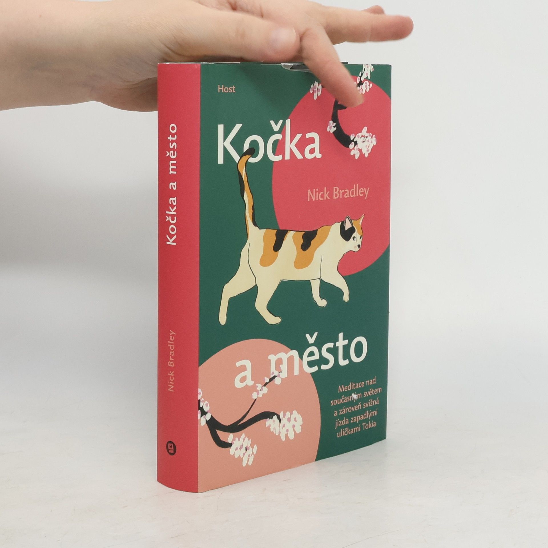 Nick Bradley Kočka a město