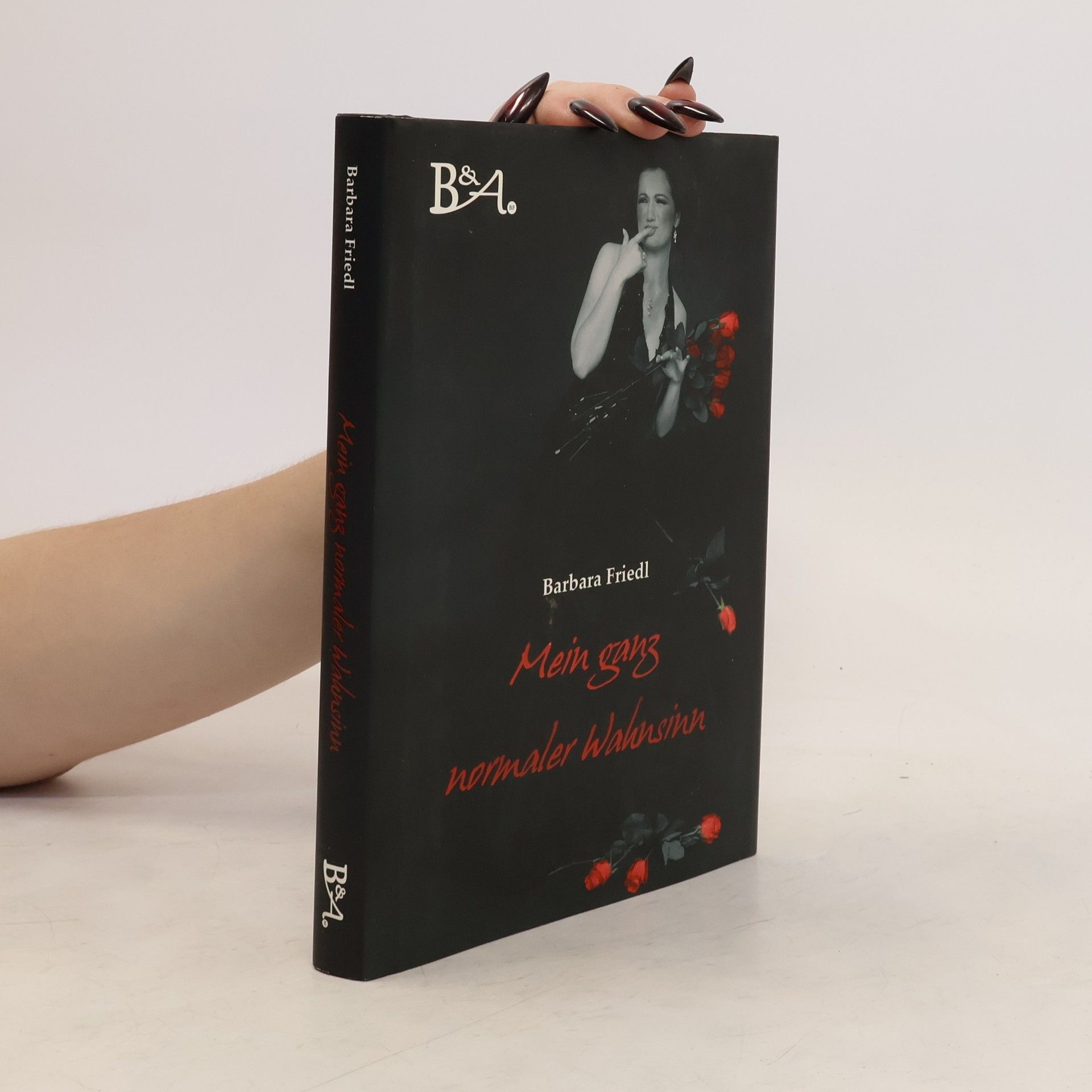 Barbara Friedl Mein ganz normaler Wahnsinn