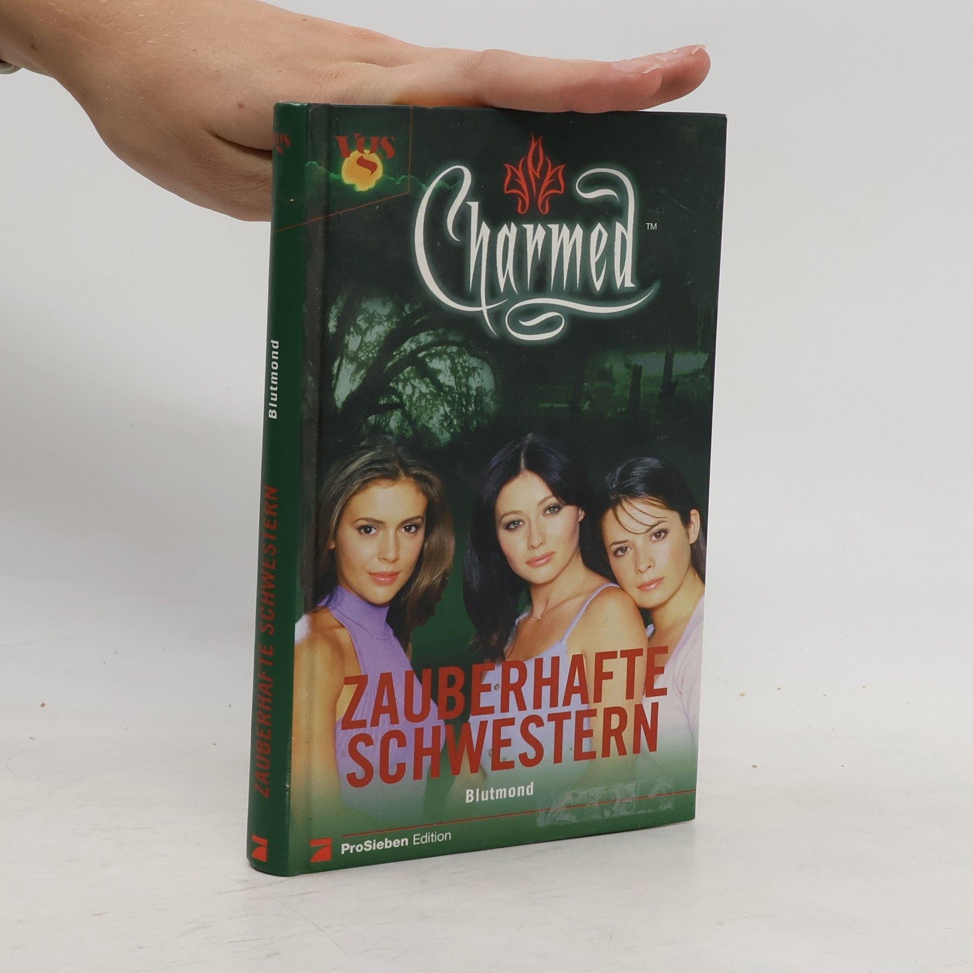 Torsten Dewi Zauberhafte Schwestern: Blutmond