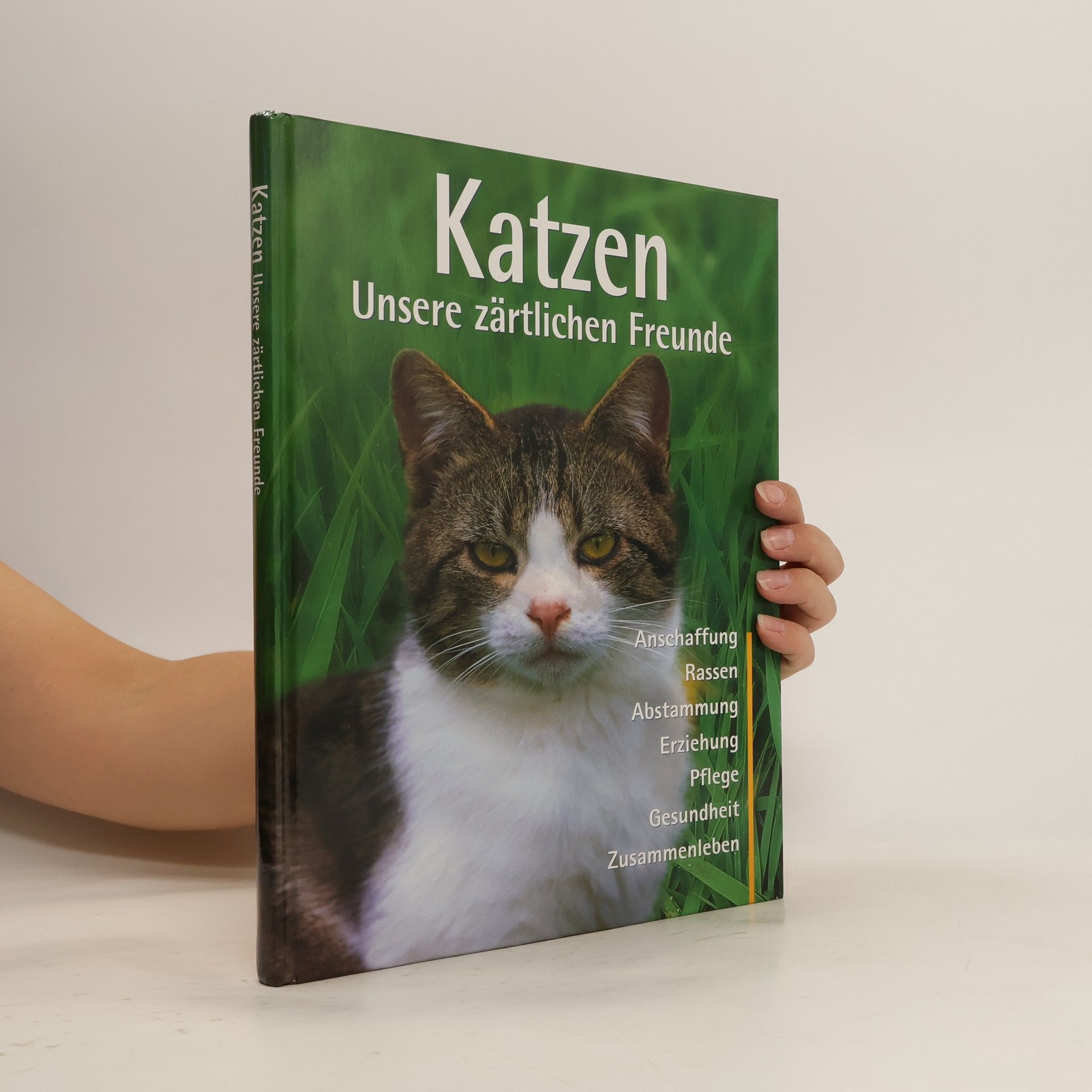 Antje Breuer Katzen
