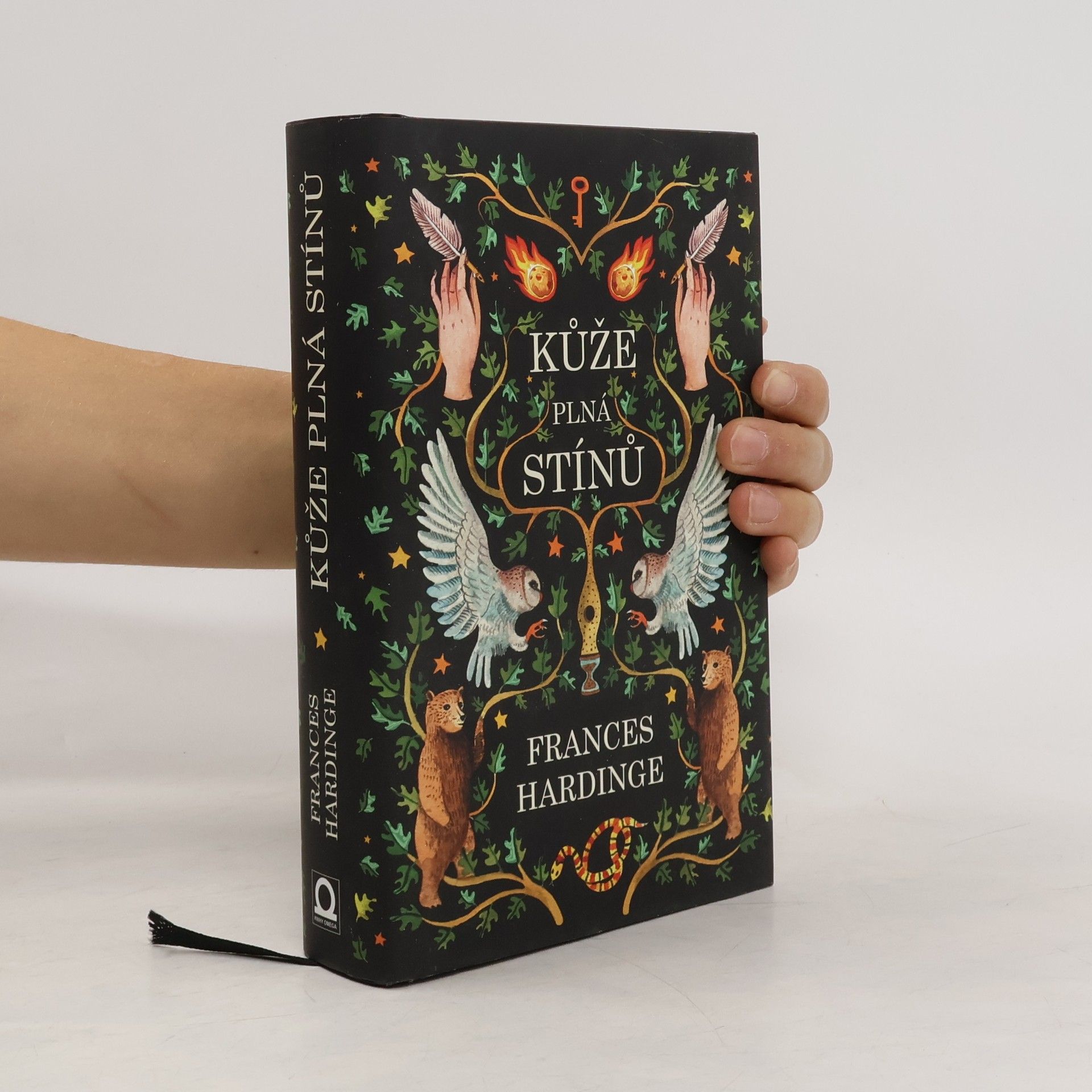 Frances Hardinge Kůže plná stínů