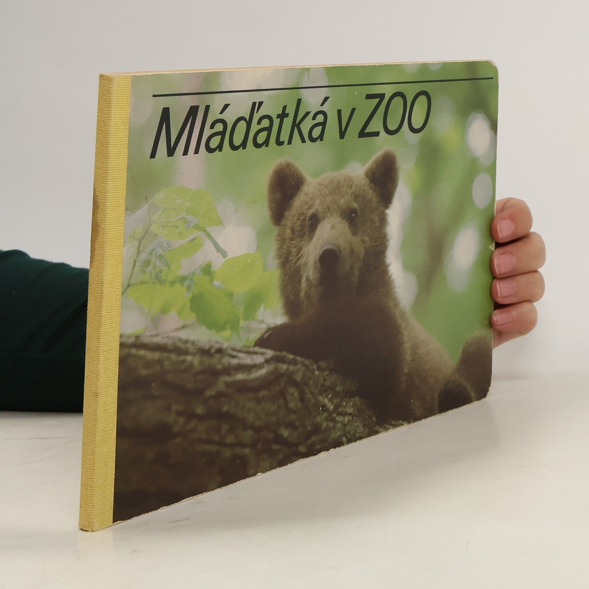 Mláďatká v ZOO