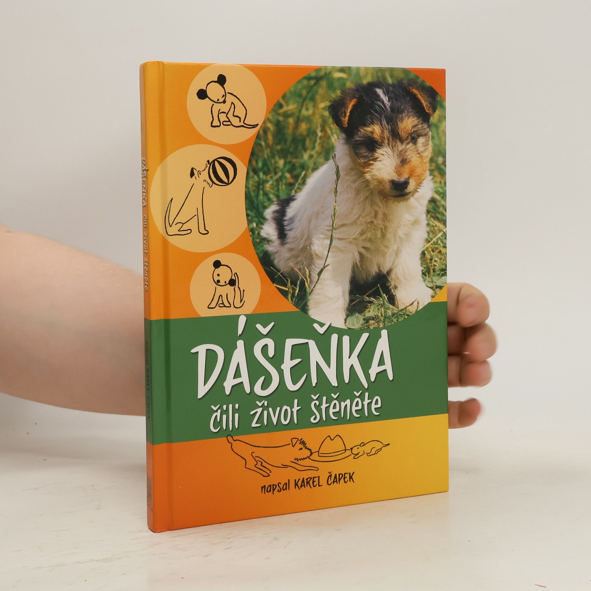 Karel Čapek Dášenka čili život štěněte