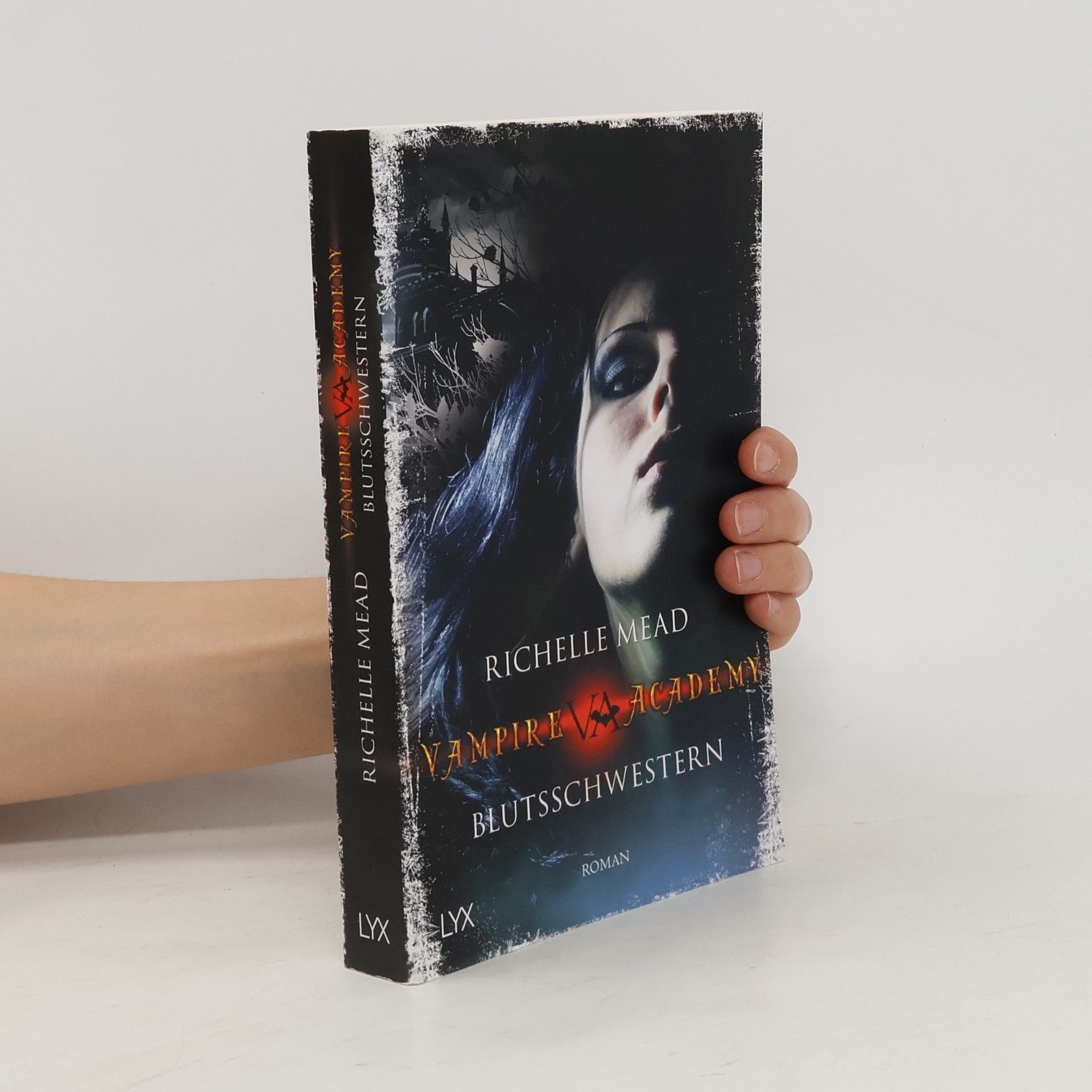 Vampire Academy 1