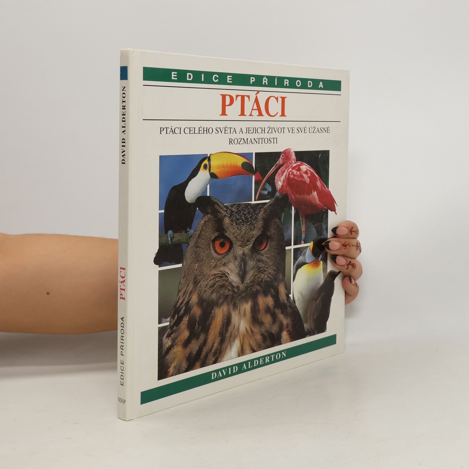 David Alderton Ptáci