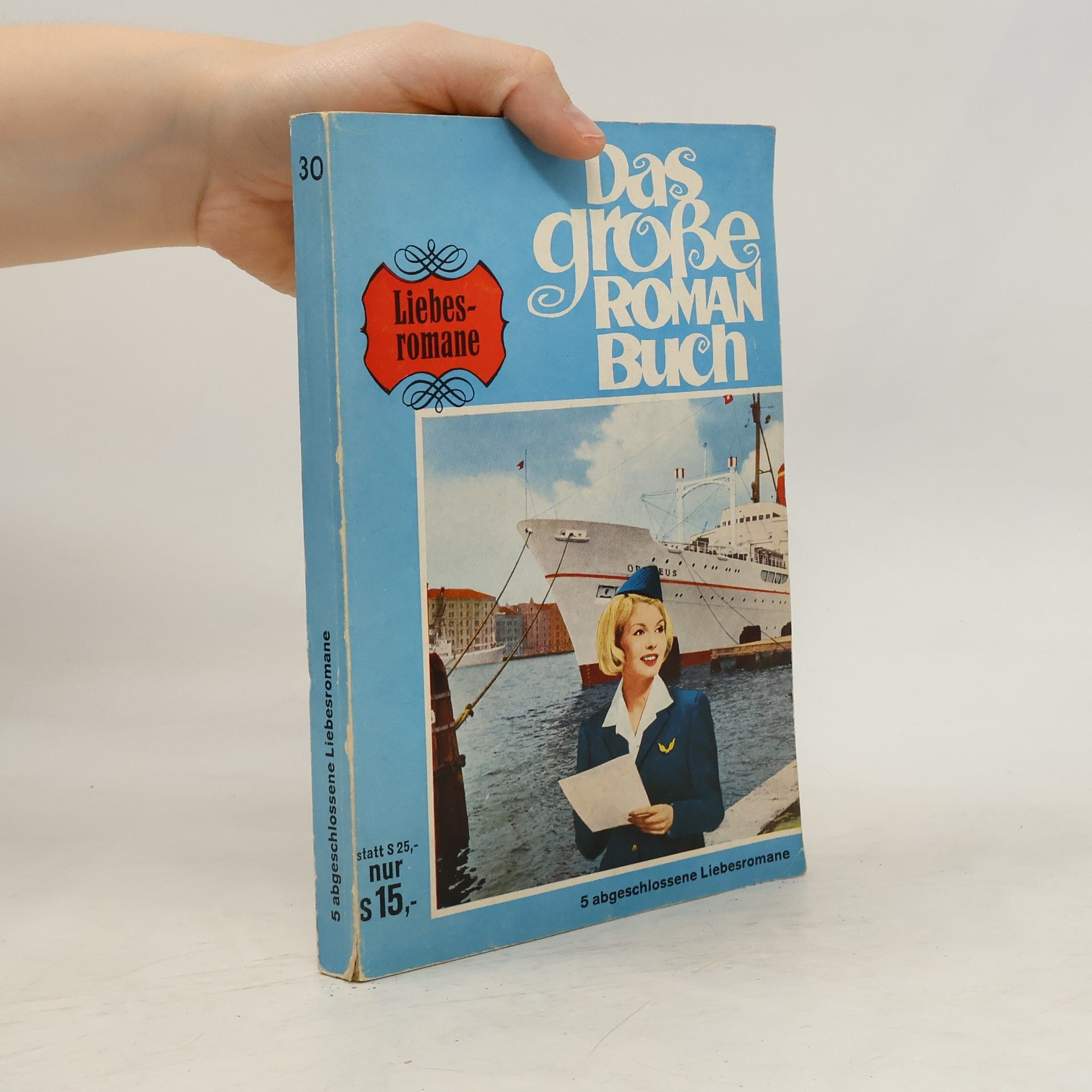 Autorenkollektiv Das große Romanbuch