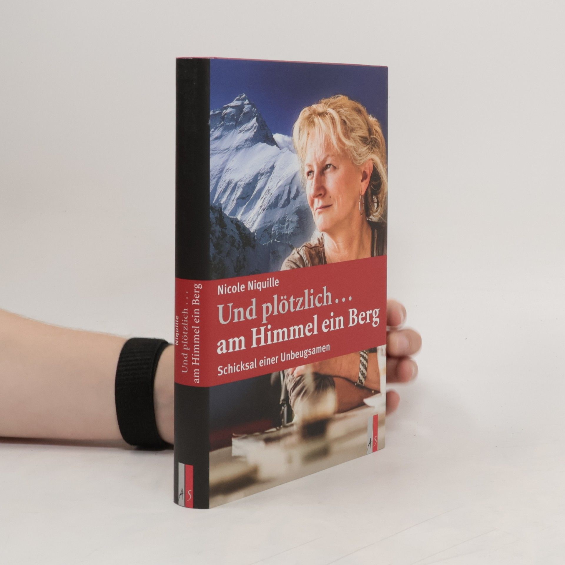 Nicole Niquille Und plötzlich ... am Himmel ein Berg