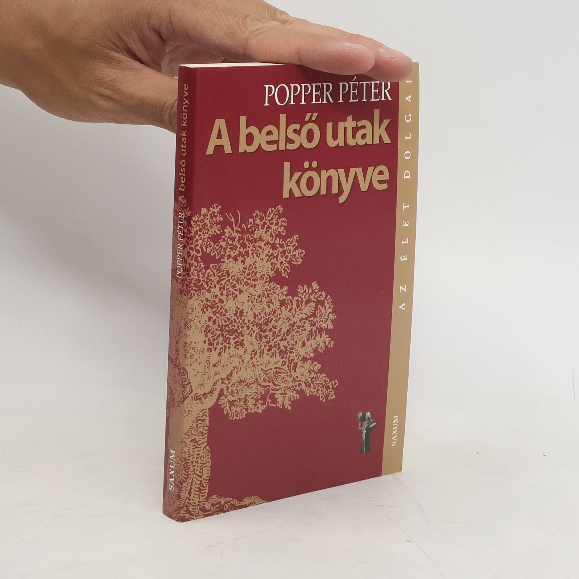 Péter Popper A belső utak könyve