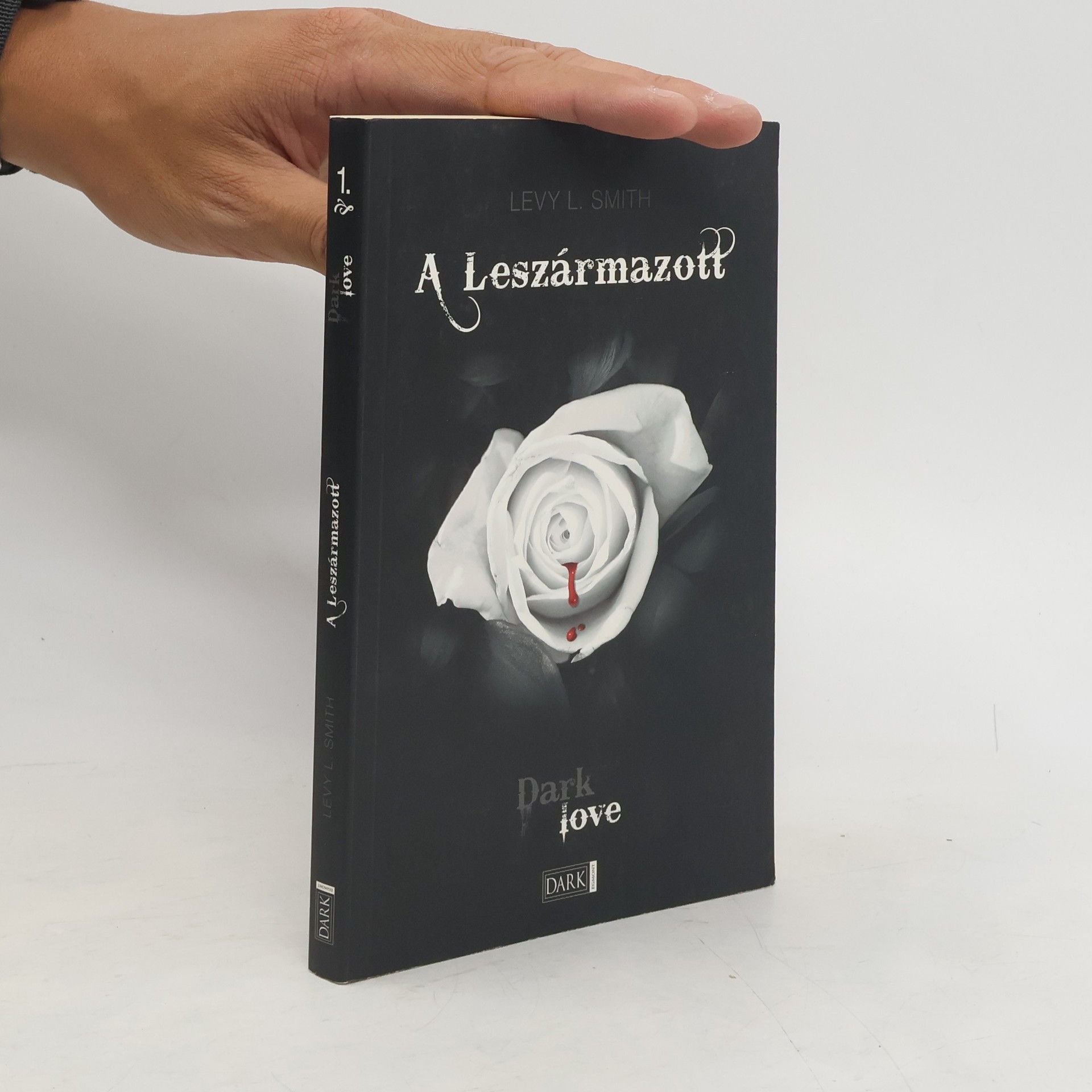Levy L. Smith Dark Love 1. A Leszármazott