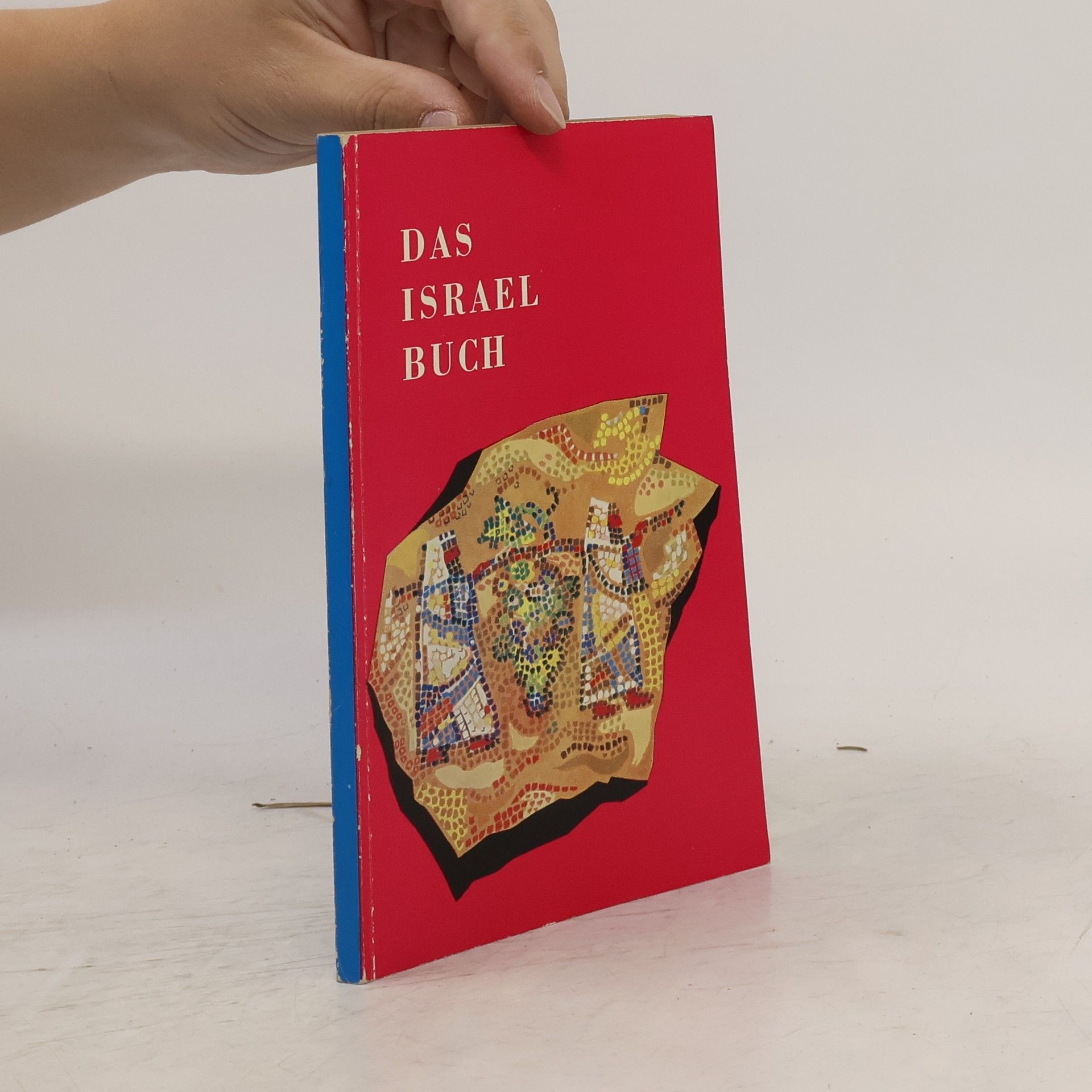 Autores varios Das Israel buch