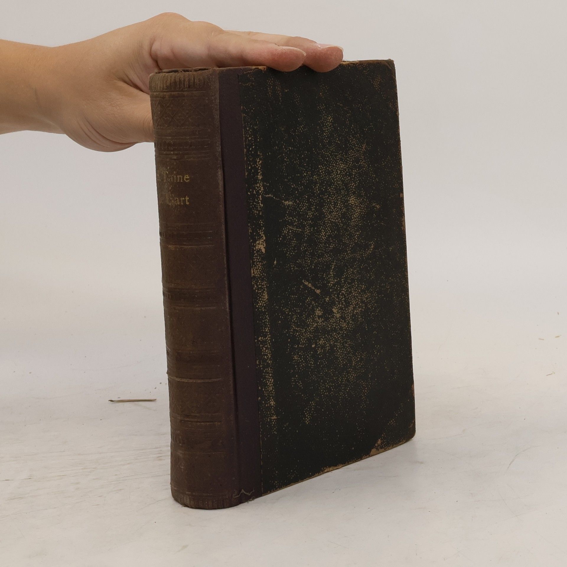 Hippolyte Taine Philosophie de l'art