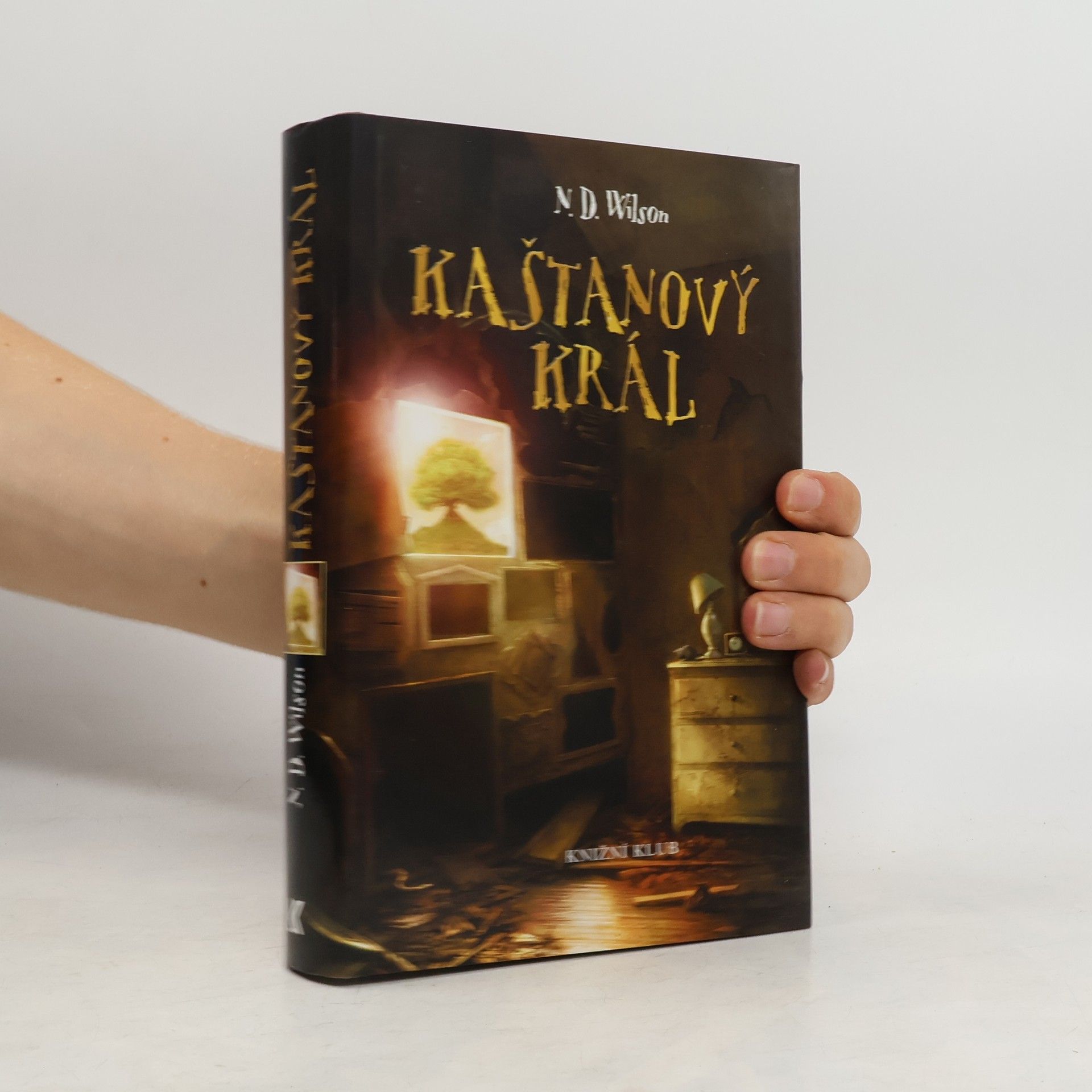 Nathan D. Wilson Kaštanový král