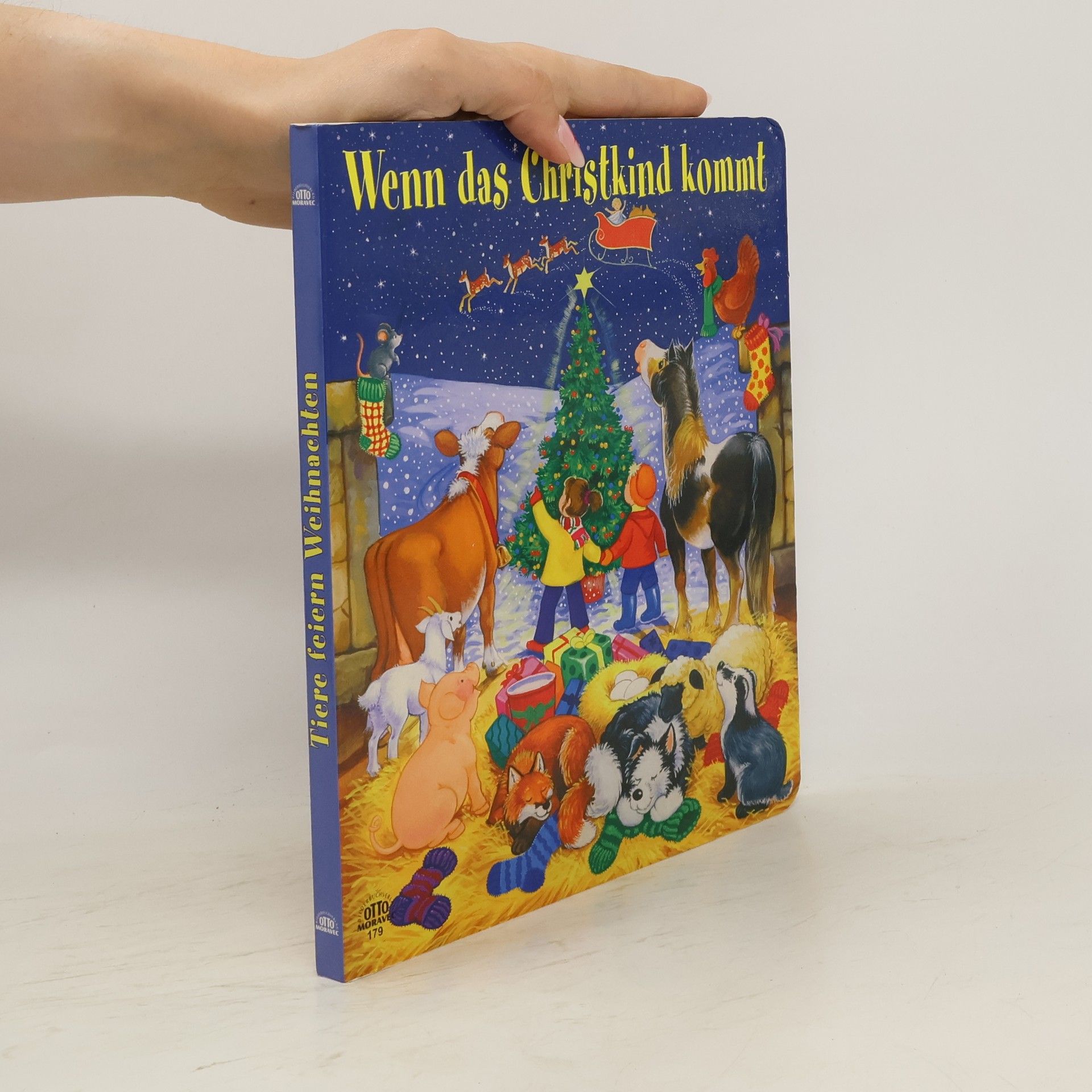 Linda Birkinshaw Wenn das Chriskind kommt