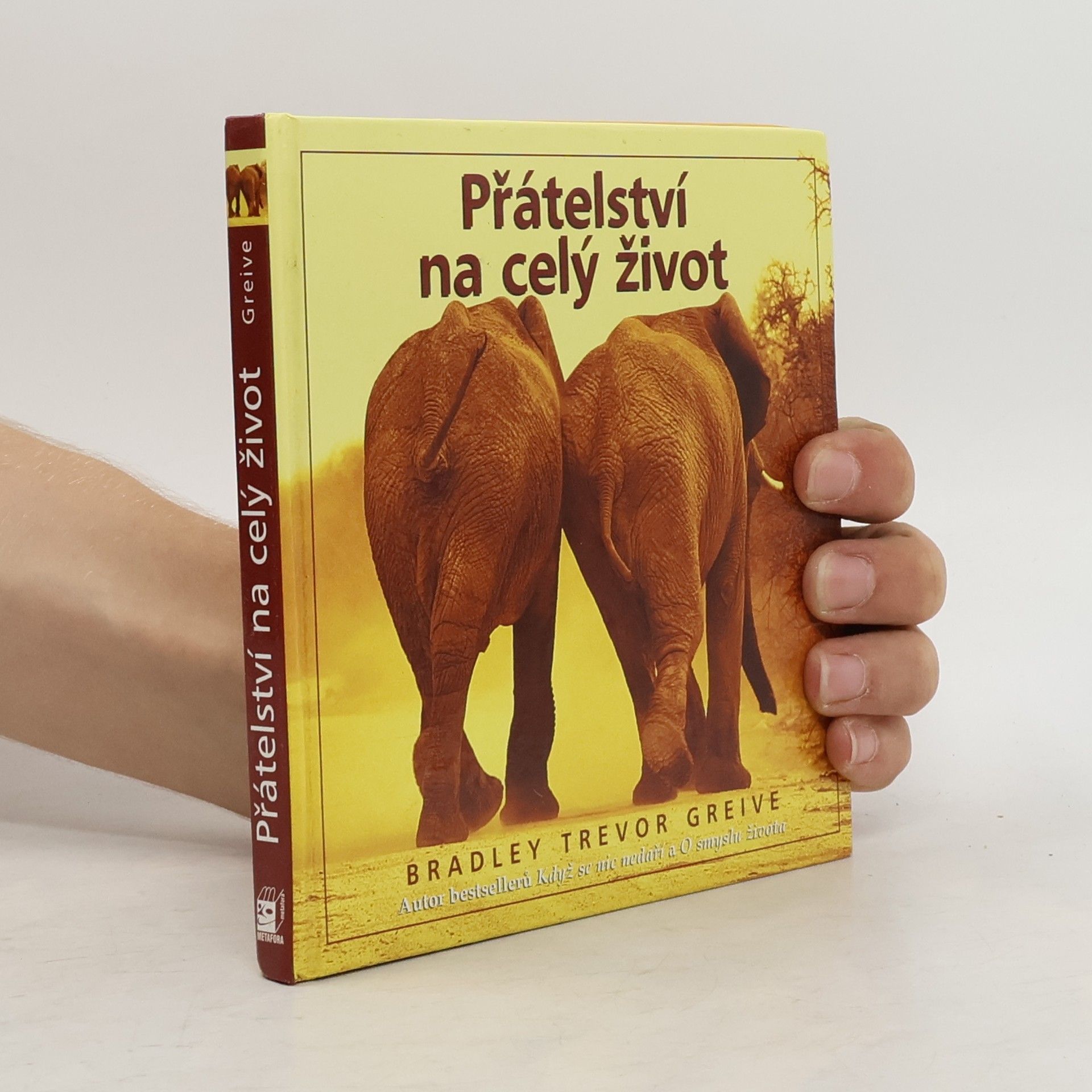 Greive Bradley Trevor Přátelství na celý život