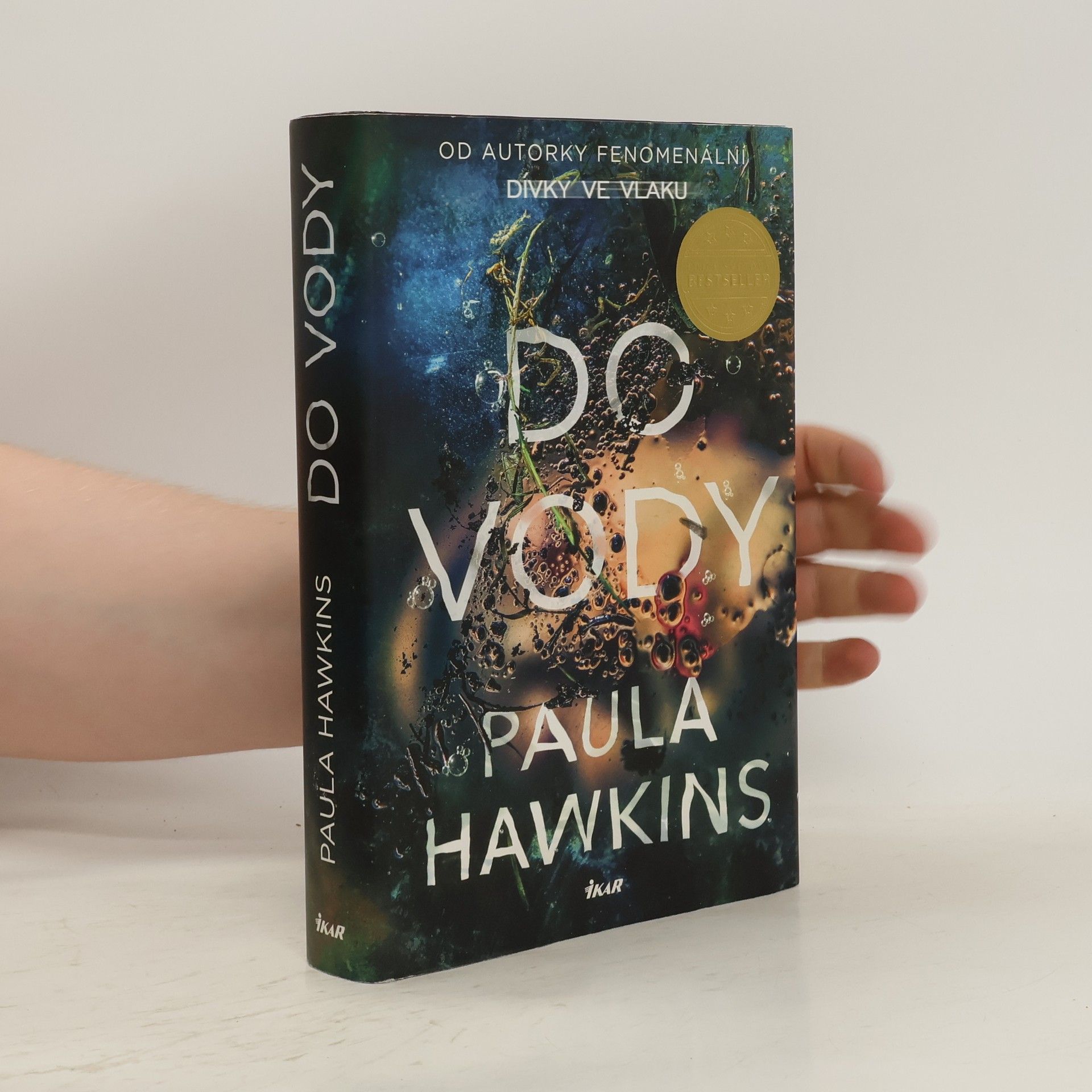 Paula Hawkins Do vody