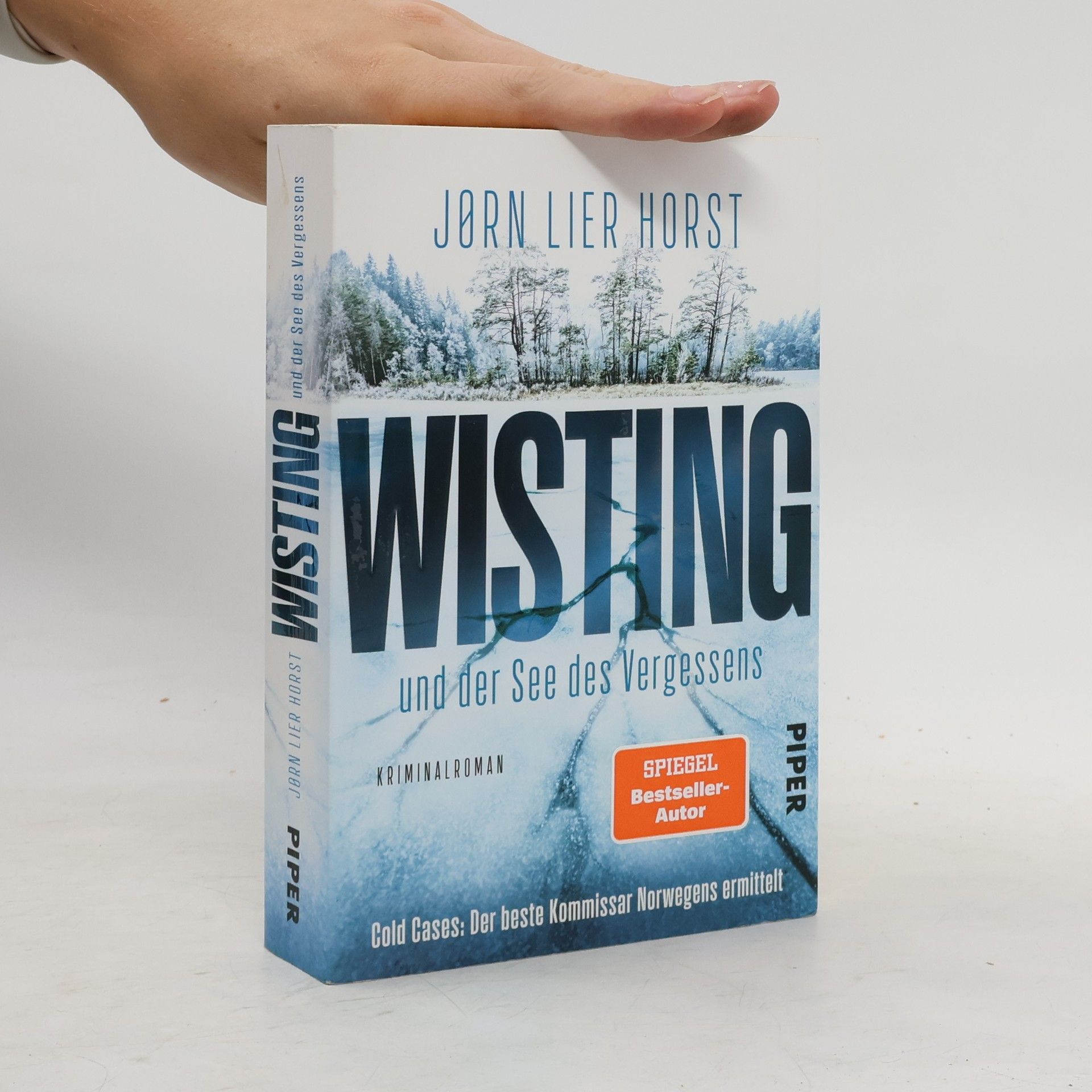 Jorn Lier Horst Wisting und der See des Vergessens
