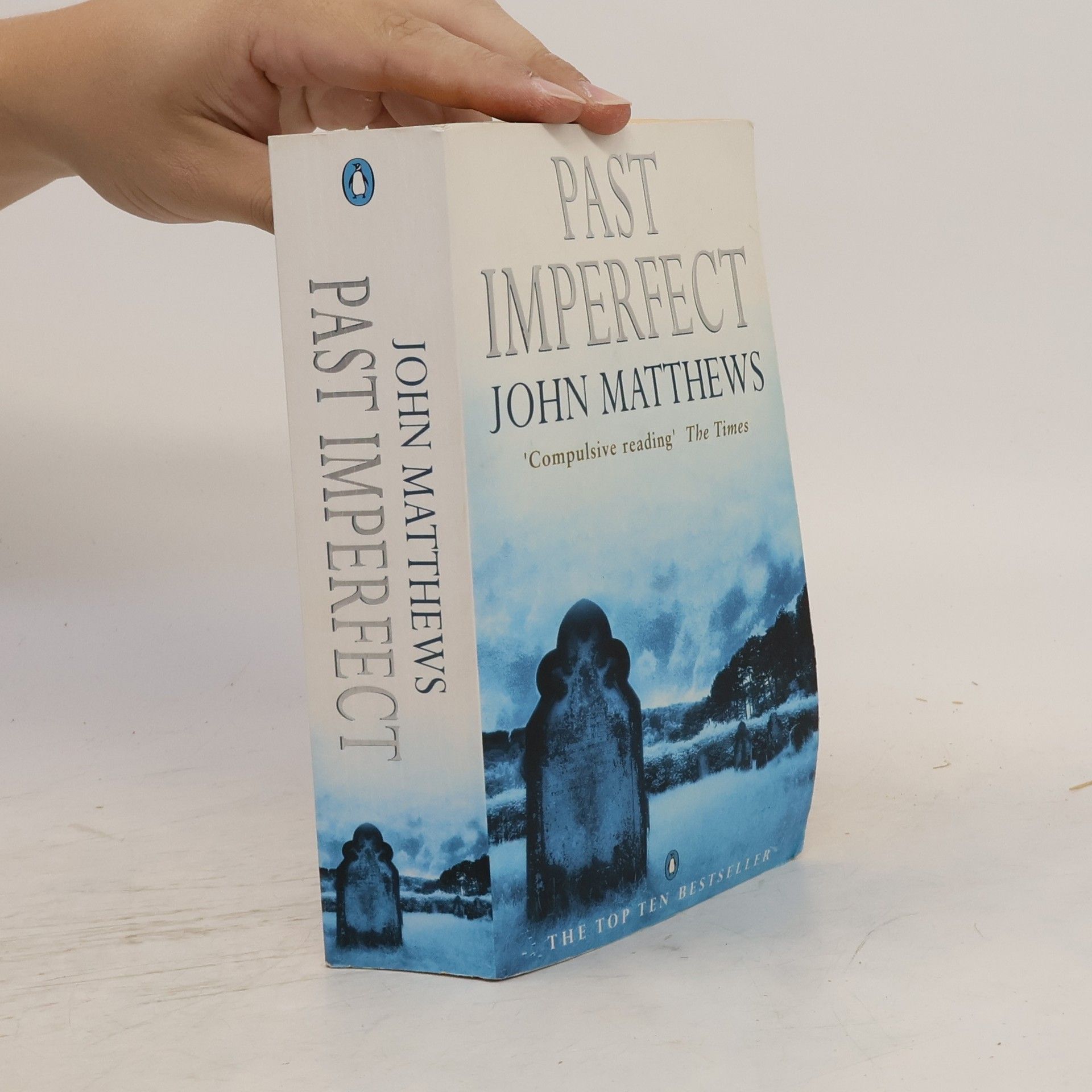 John Matthews Past Imperfect