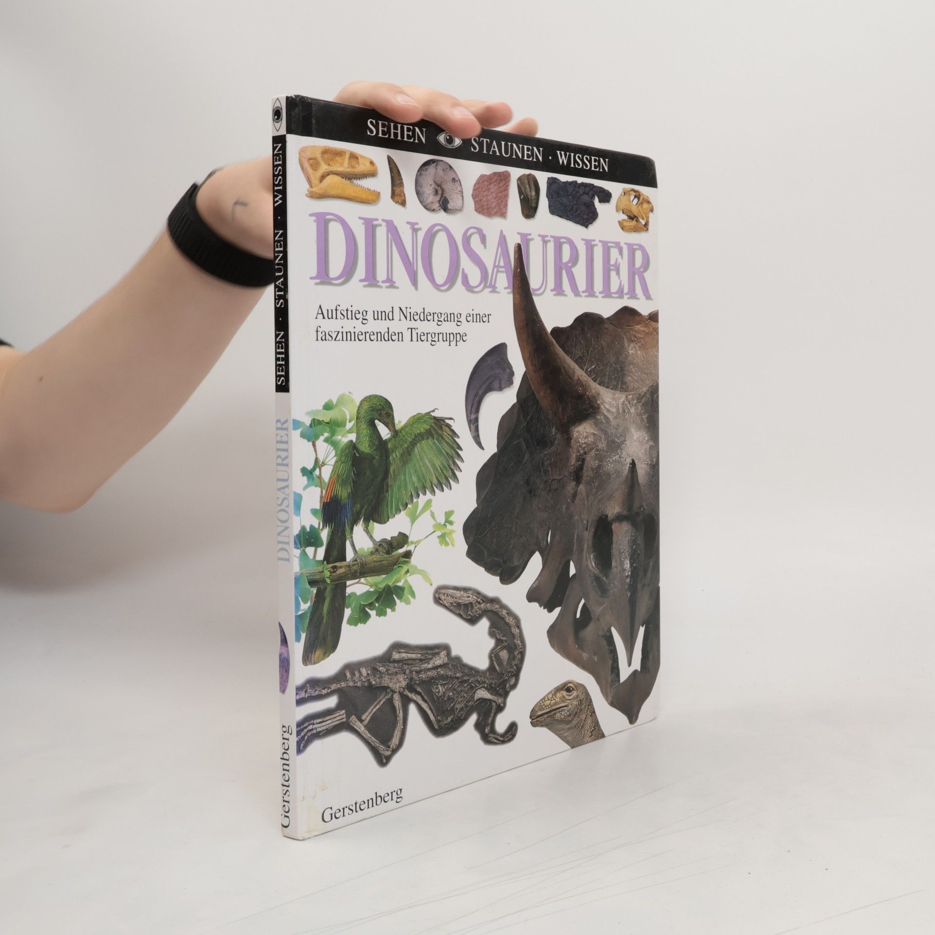 Various authors Dinosaurier