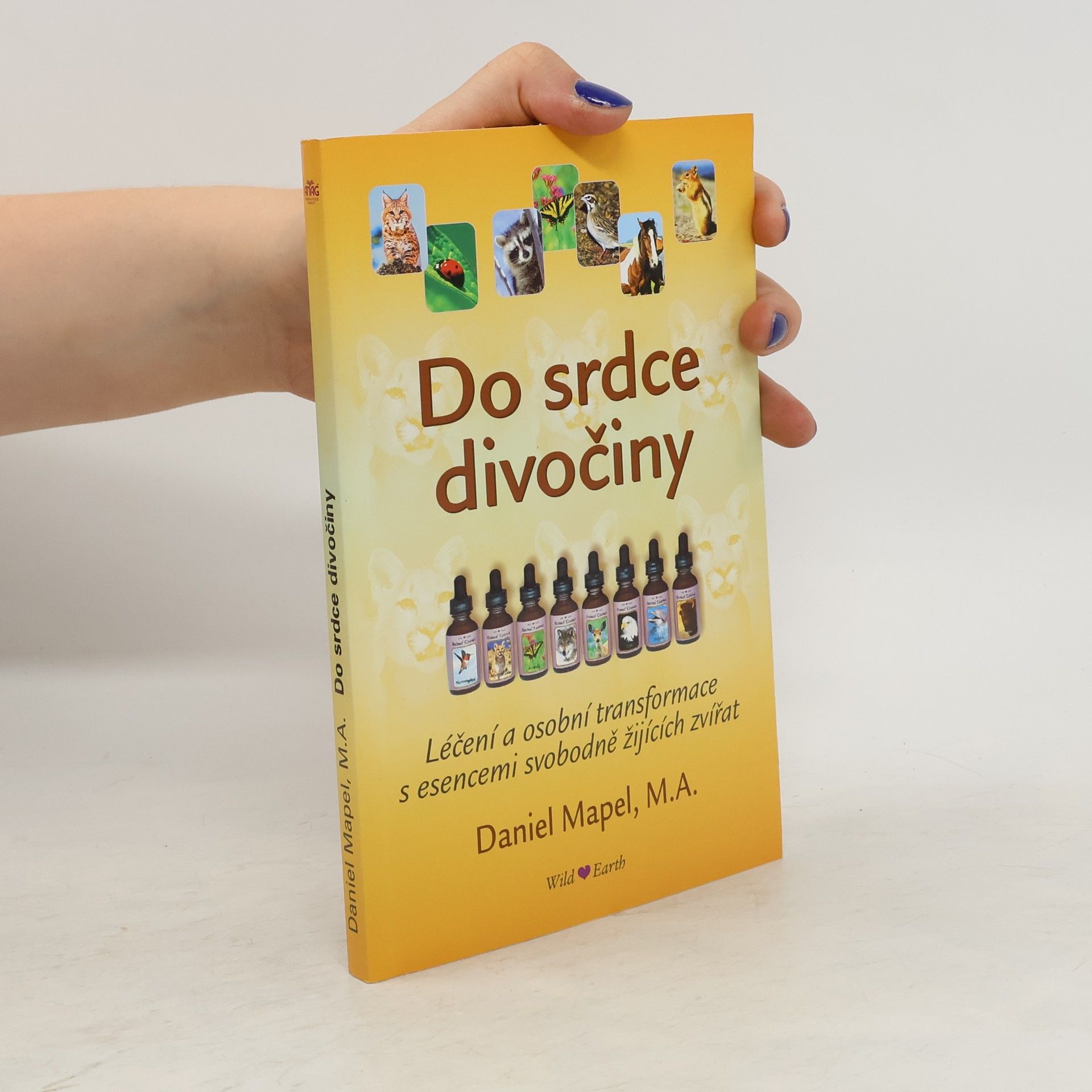 Daniel Mapel Do srdce divočiny