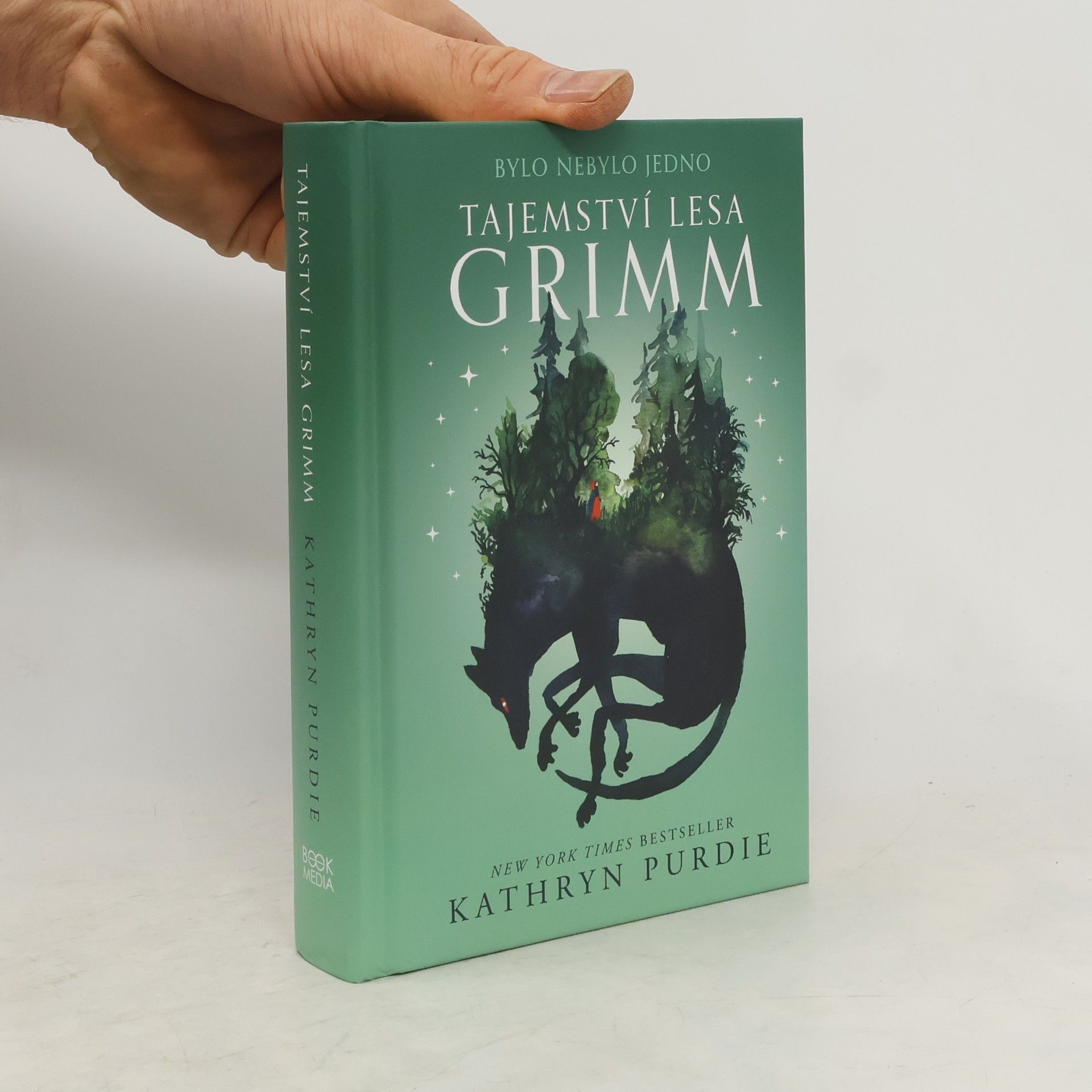 Kathryn Purdie Tajemství lesa Grimm