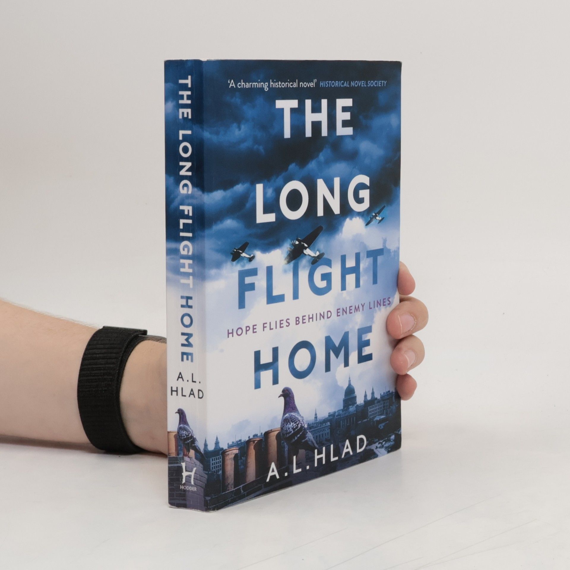 Alan Hlad The Long Flight Home
