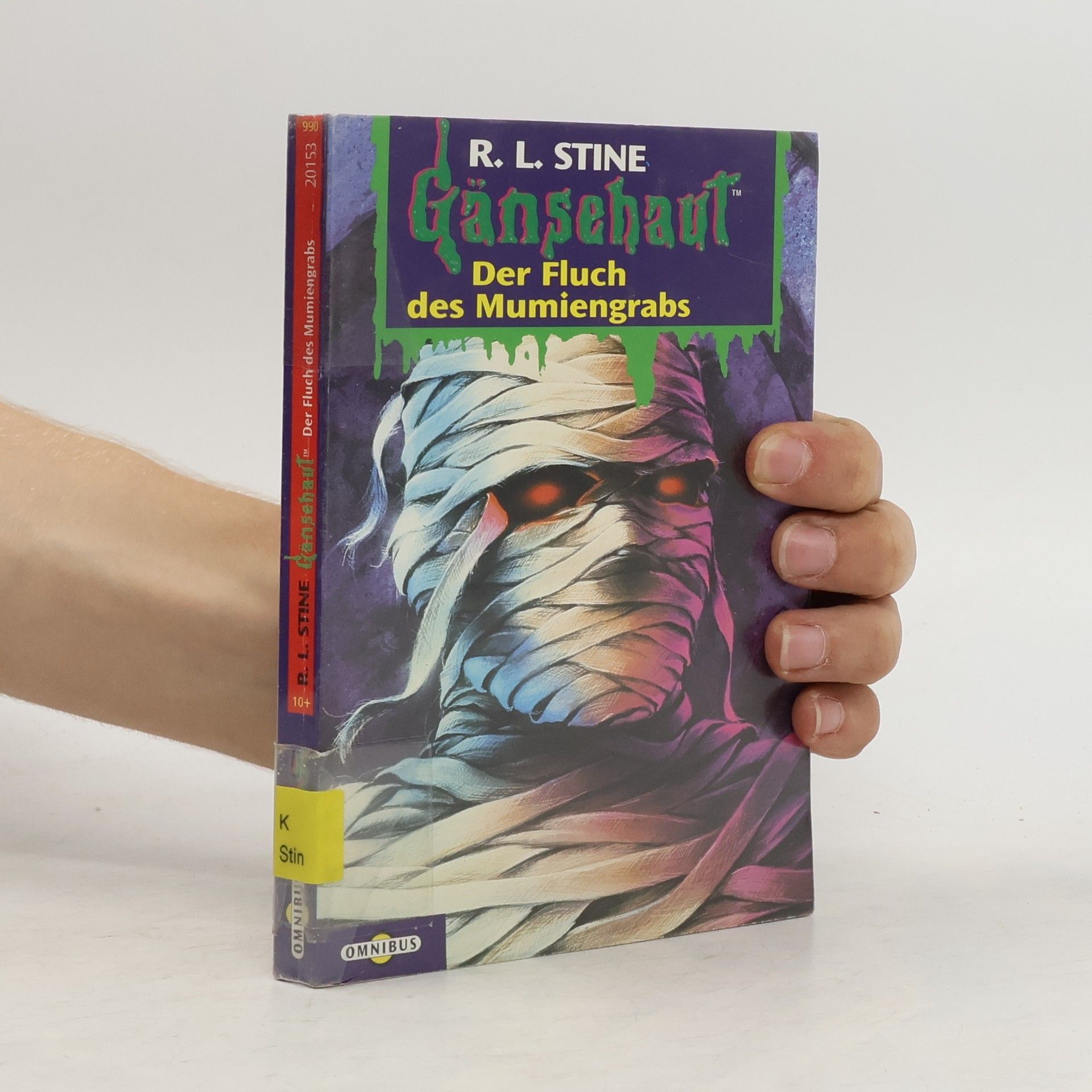 R. L. Stine Gänsehaut 5. Der Fluch des Mumiengrabes