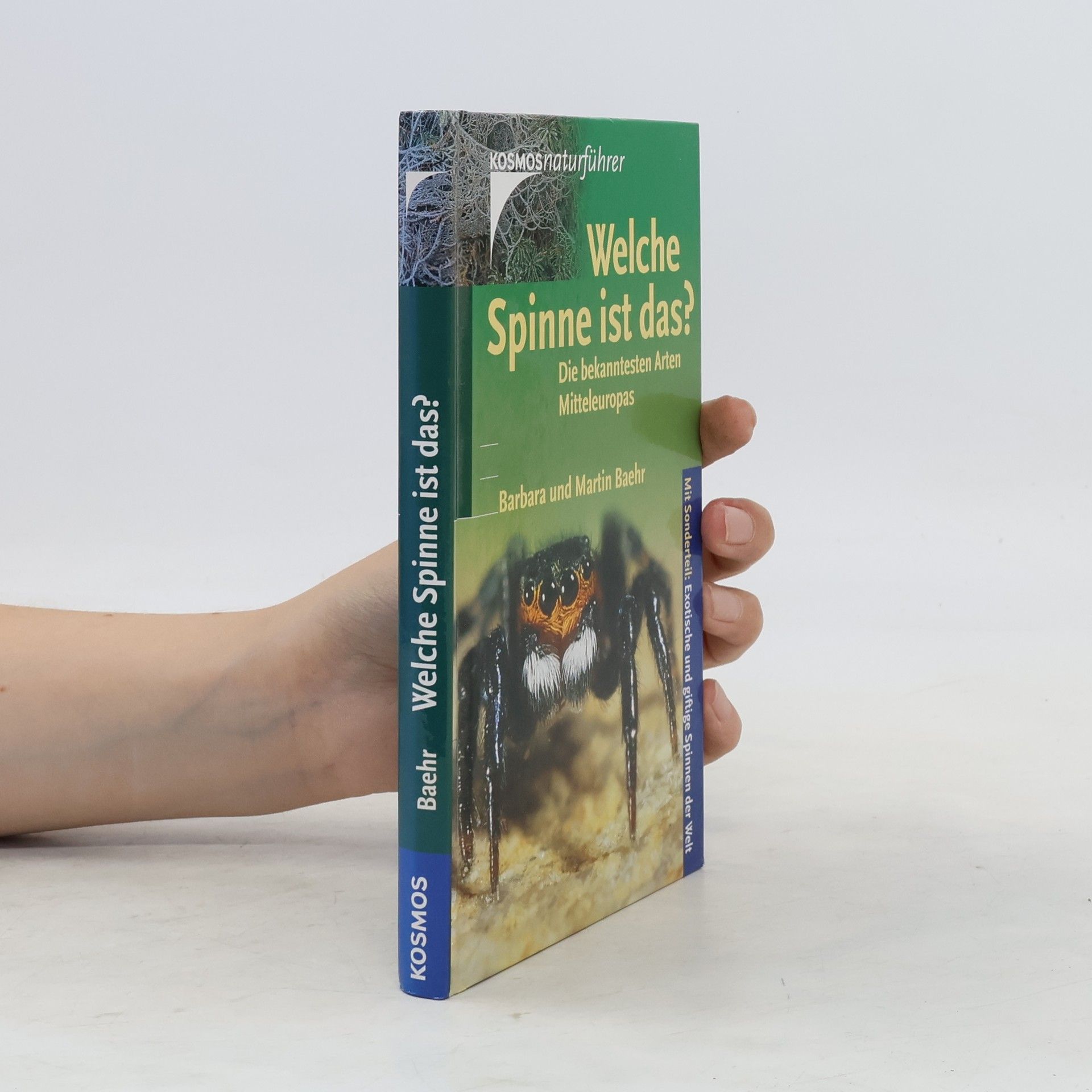 Barbara Baehr Welche Spinne ist das?