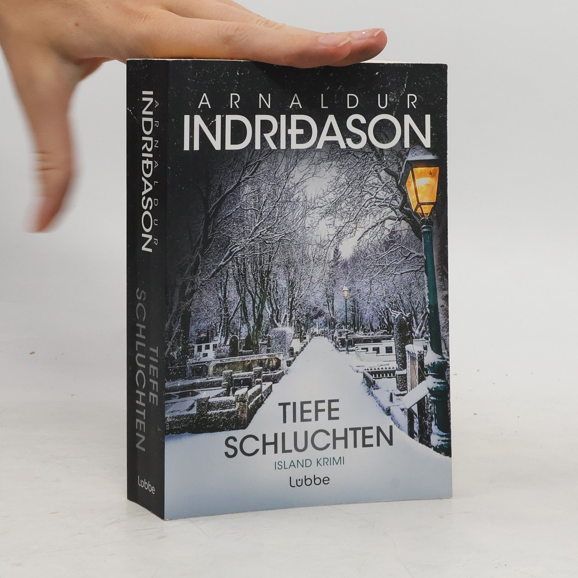 Arnaldur Indriðason Tiefe Schluchten