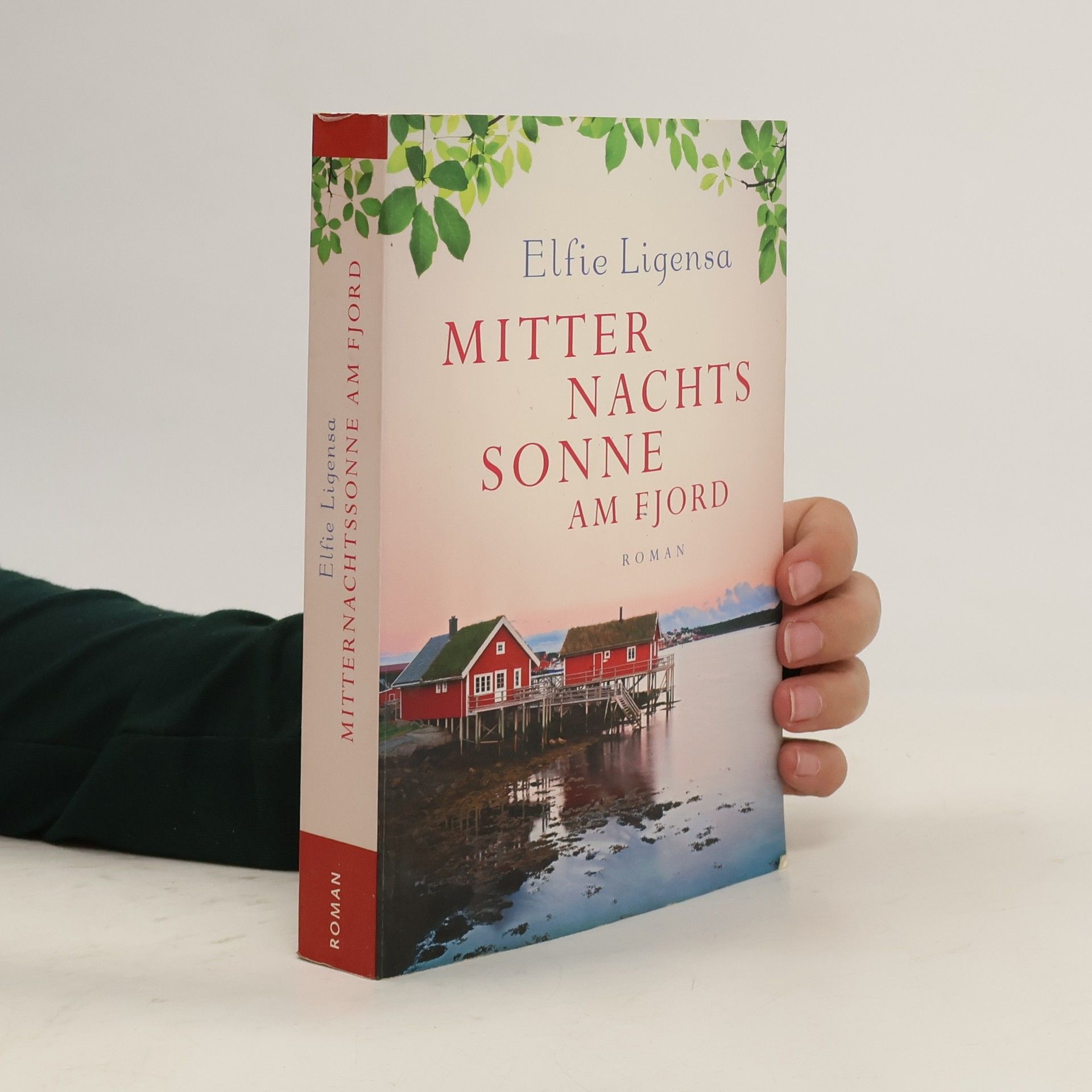 Elfie Ligensa Mitternachtssonne am Fjord