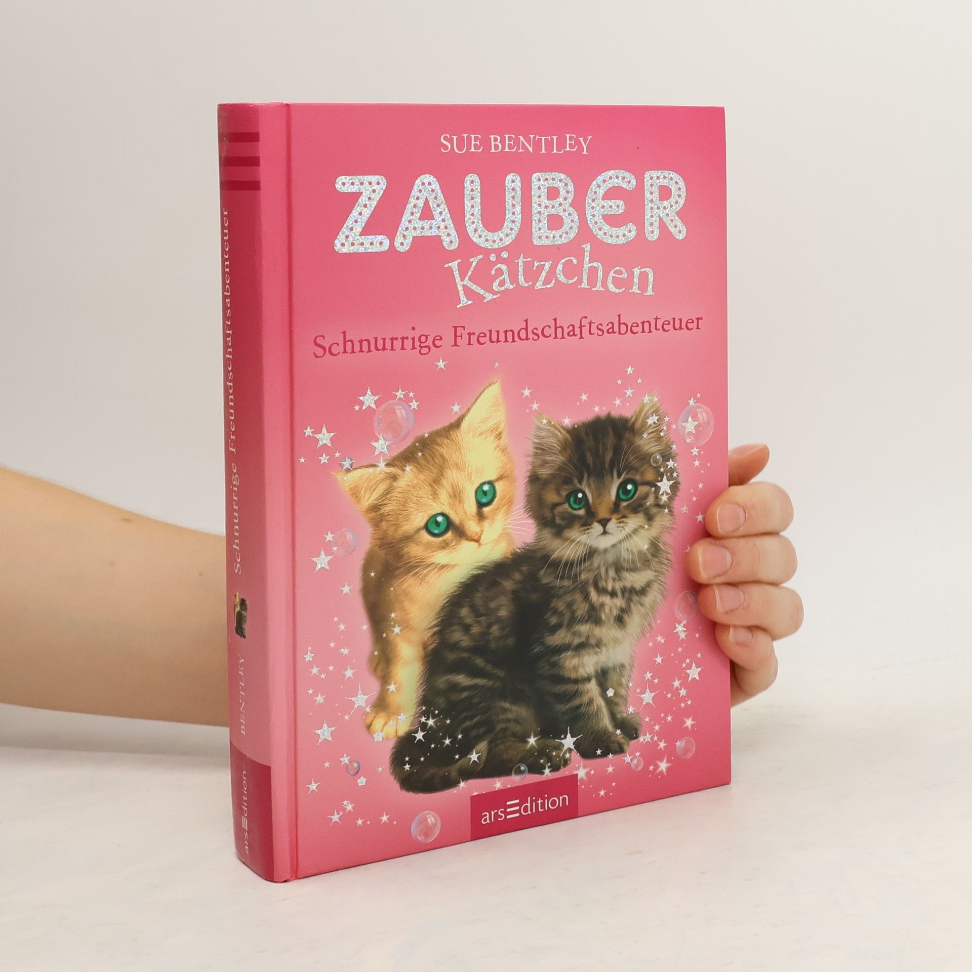 Sue Bentley Zauberkätzchen - Schnurrige Freundschaftsabenteuer
