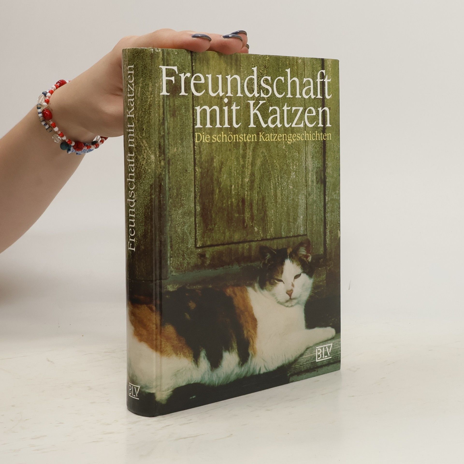 Siegfried Schmitz Freundschaft mit Katzen