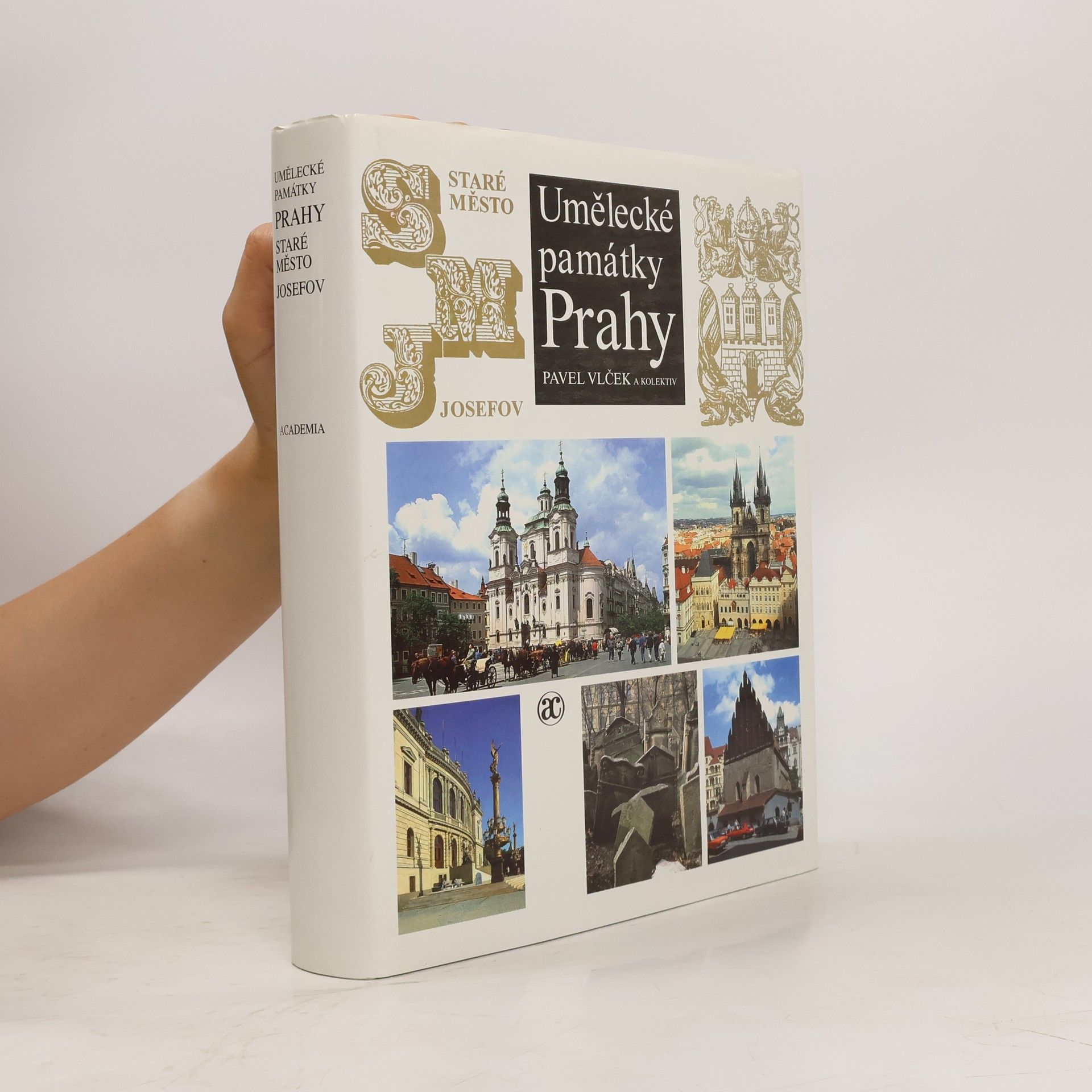 Pavel Vlček Umělecké památky Prahy. Staré město - Josefov.