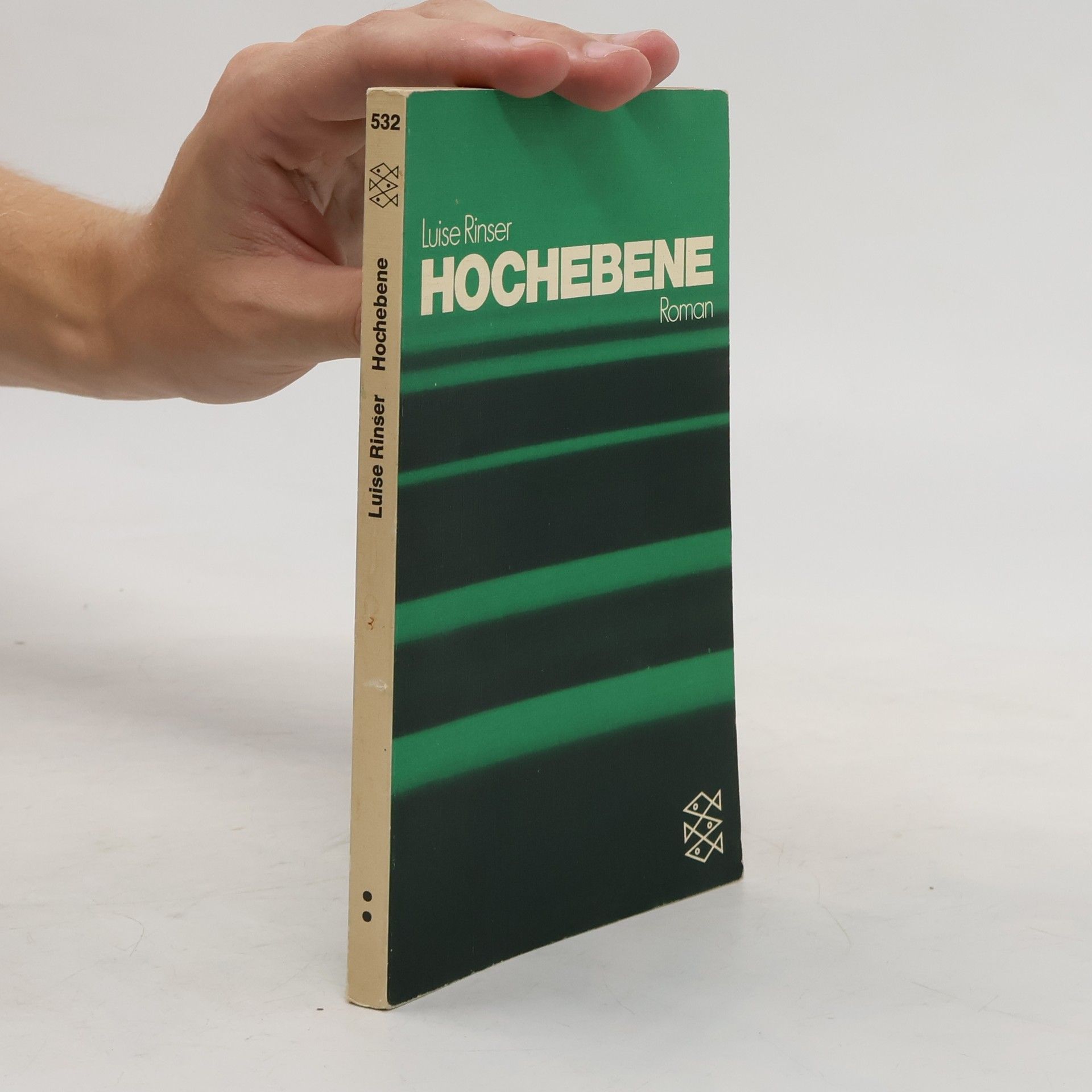 Luise Rinser Hochebene