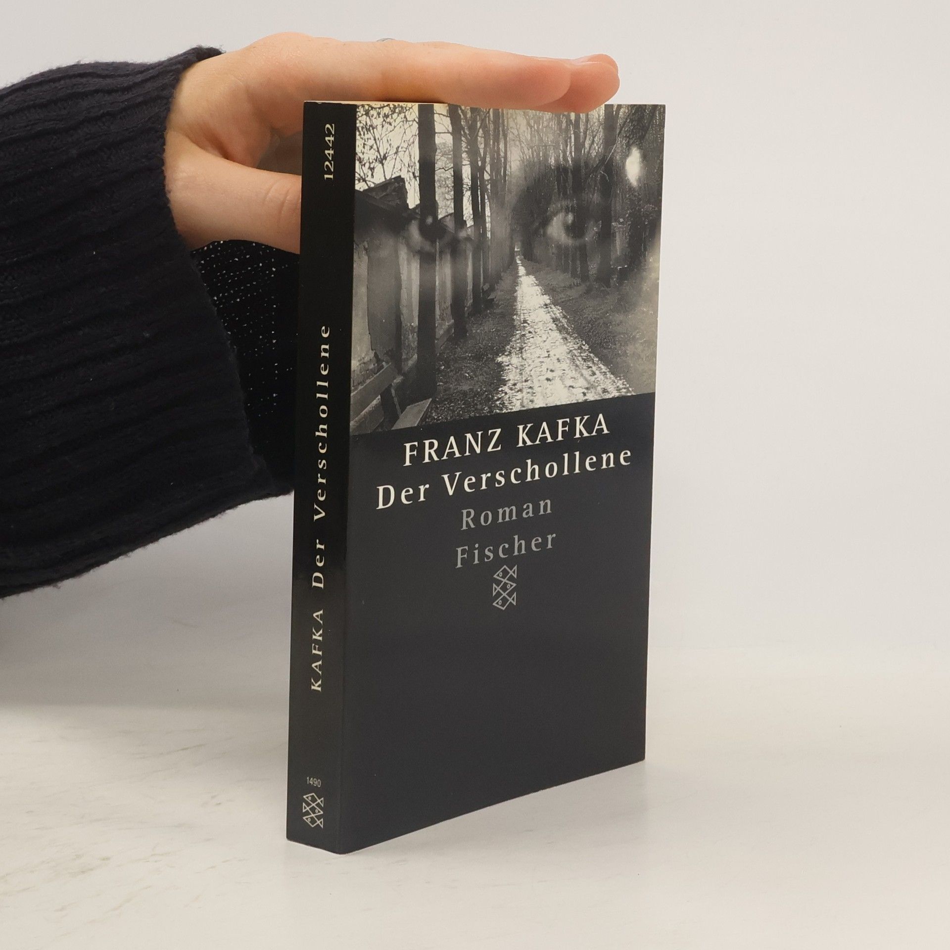 Franz Kafka Der Verschollene : Roman : in der Fassung der Handschrift