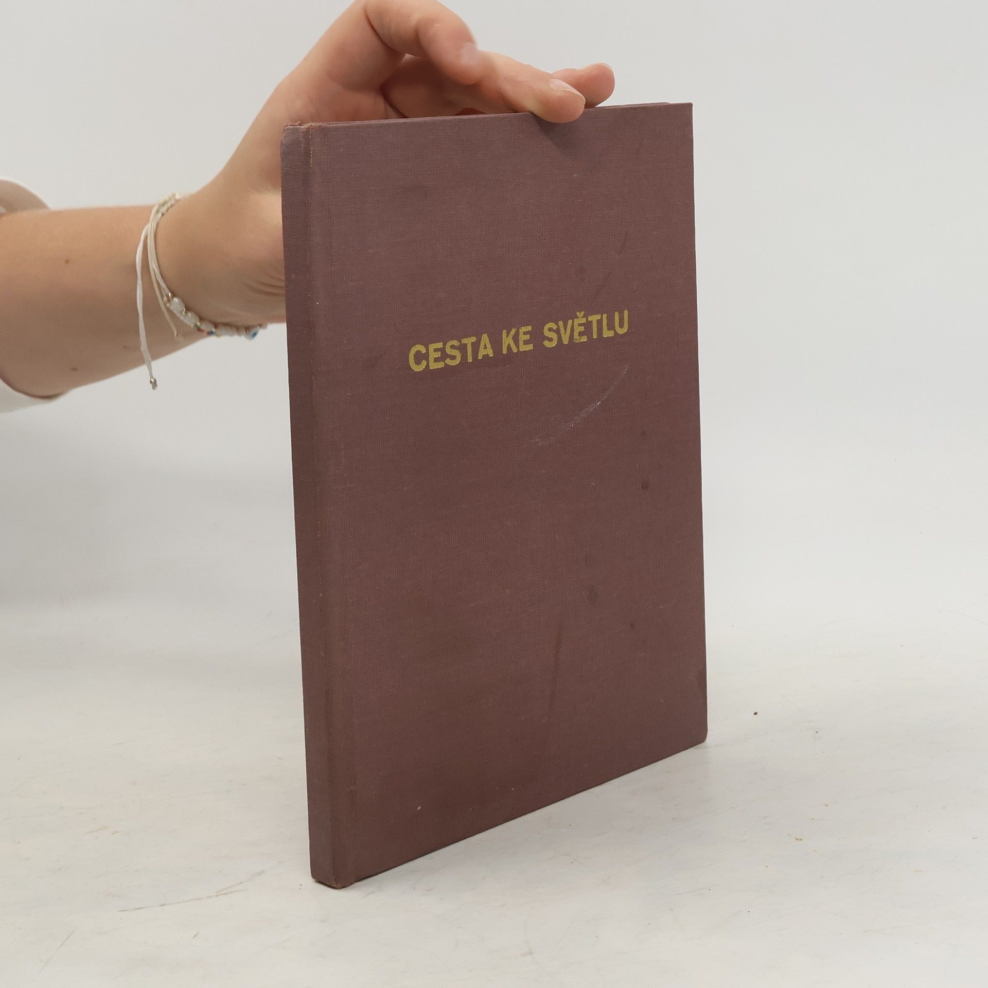 Ferdinand Neubauer Cesta ke světlu