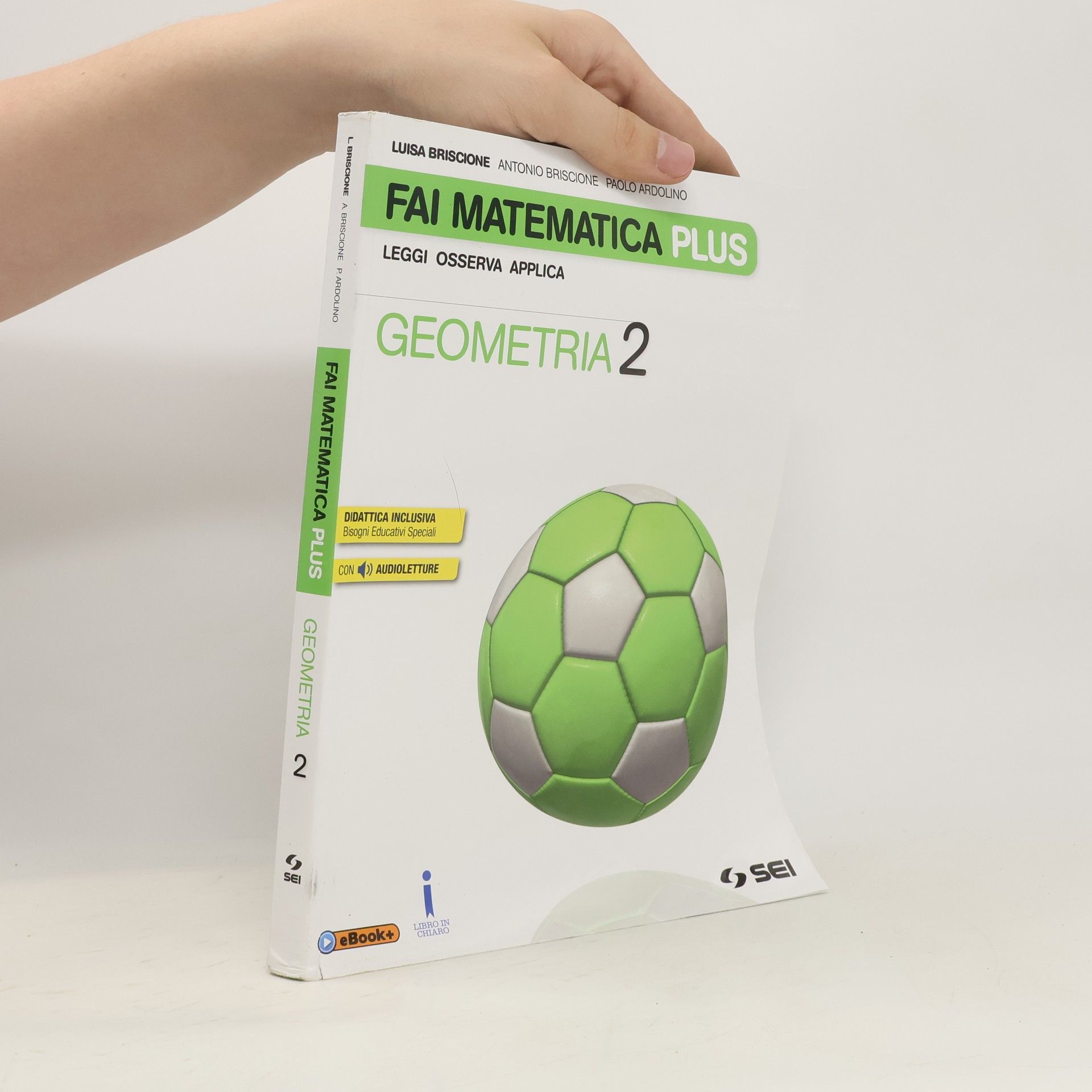 Luisa Briscione Fai matematica plus