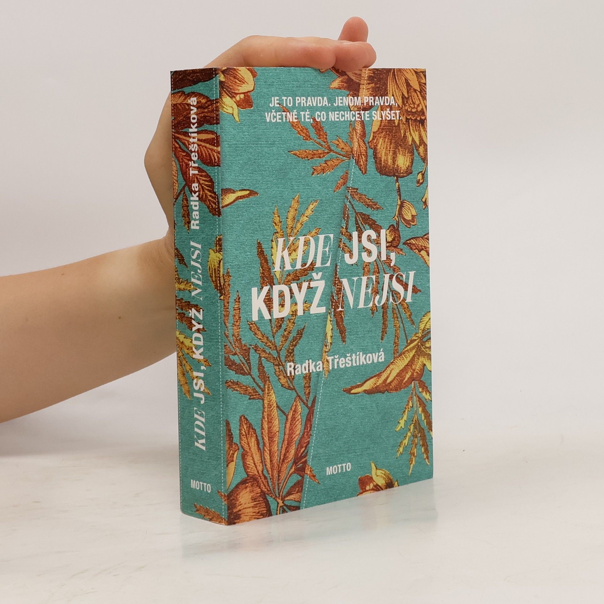 Radka Třeštíková Kde jsi, když nejsi