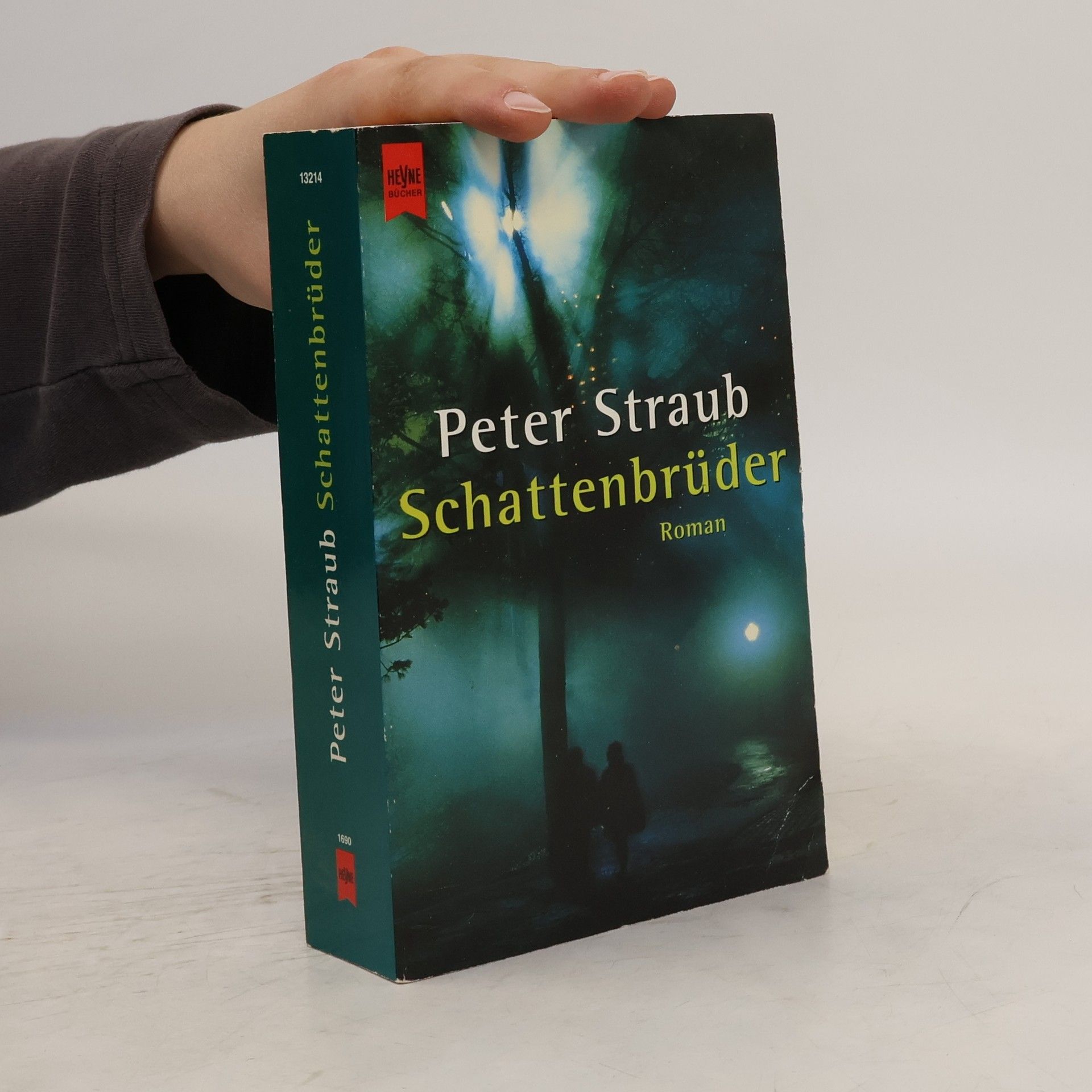 Peter Straub Schattenbrüder