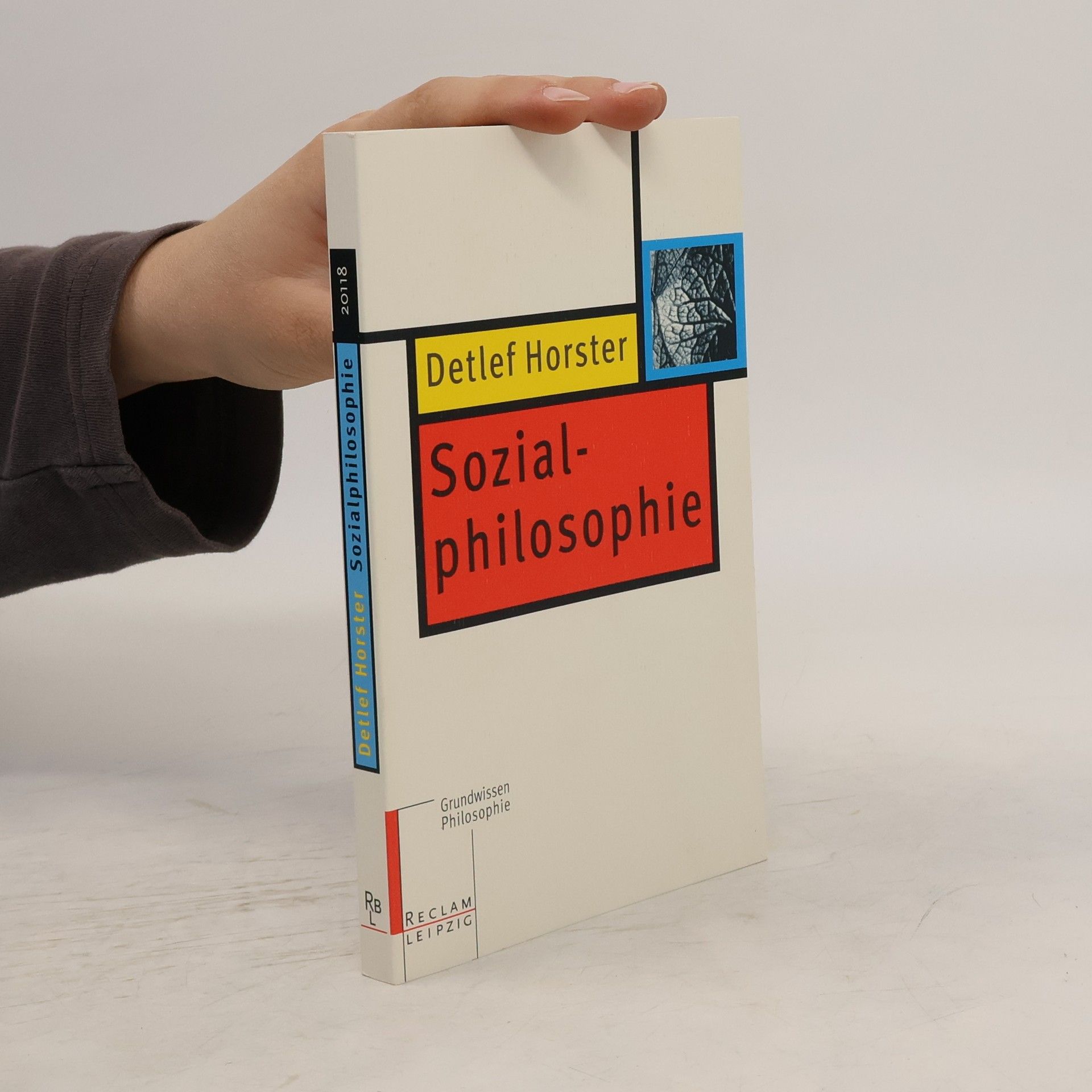 Detlef Horster Grundwissen Philosophie: Sozialphilosophie