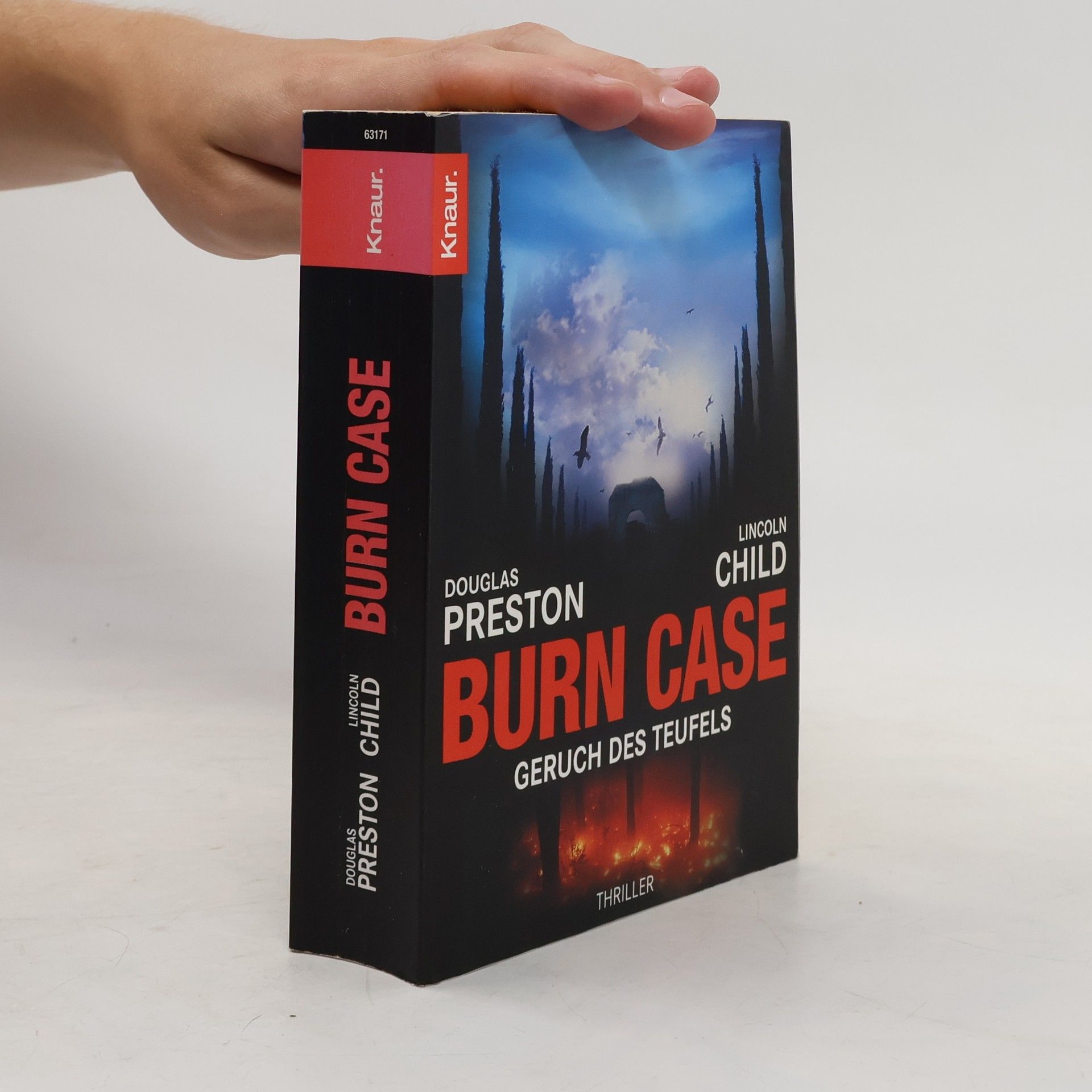 Lincoln Child Burn Case
