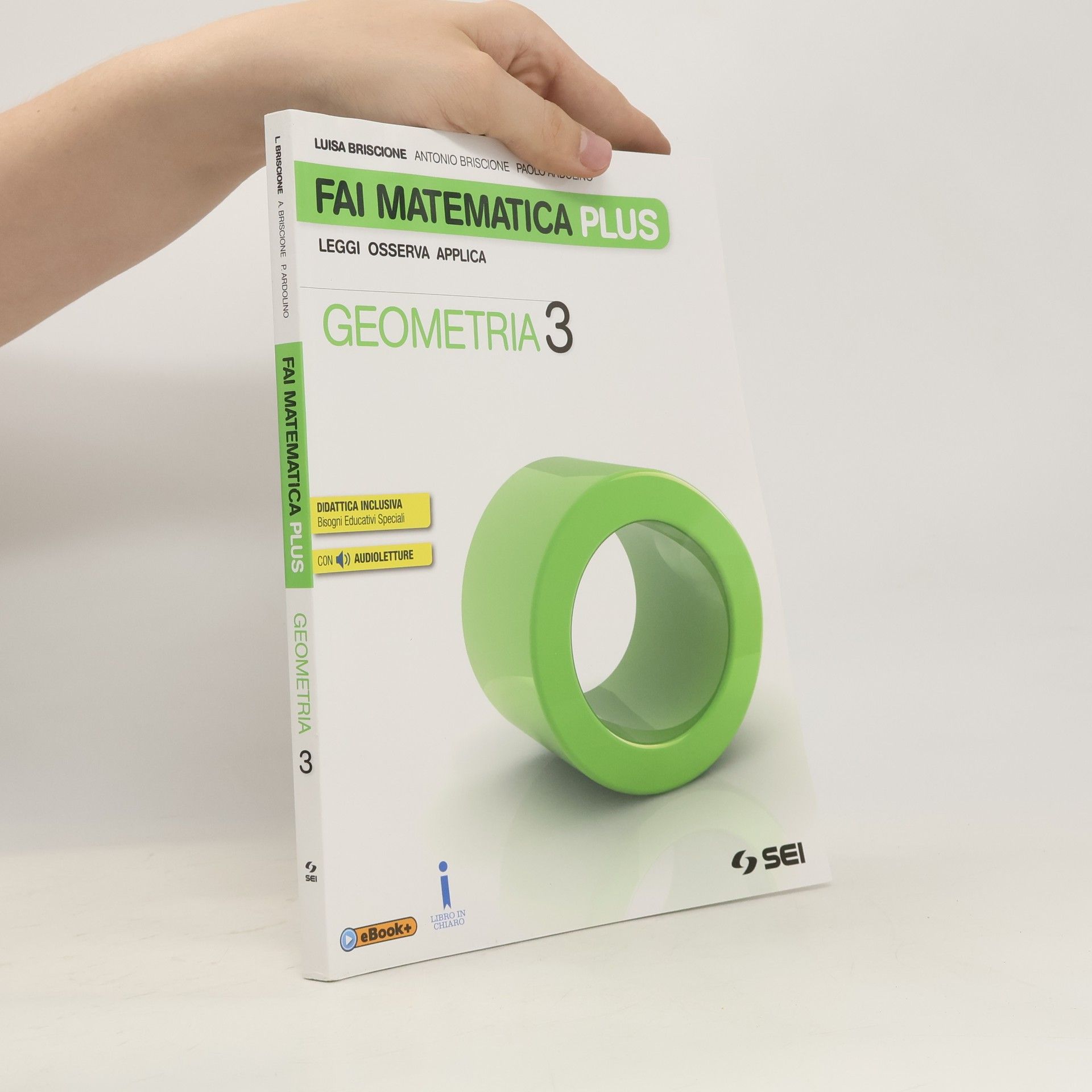 Luisa Briscione  Fai matematica plus