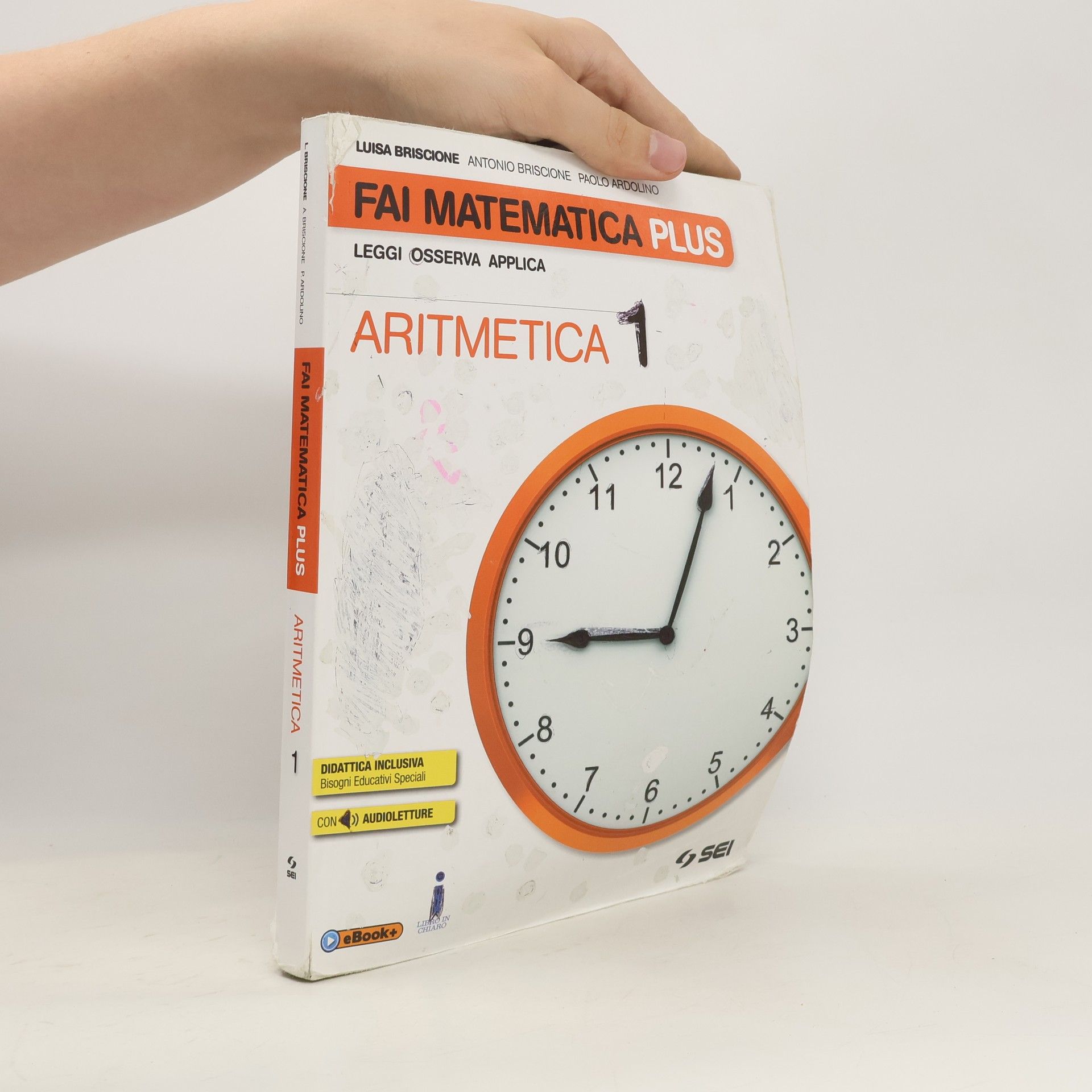 Luisa Briscione Fai matematica plus