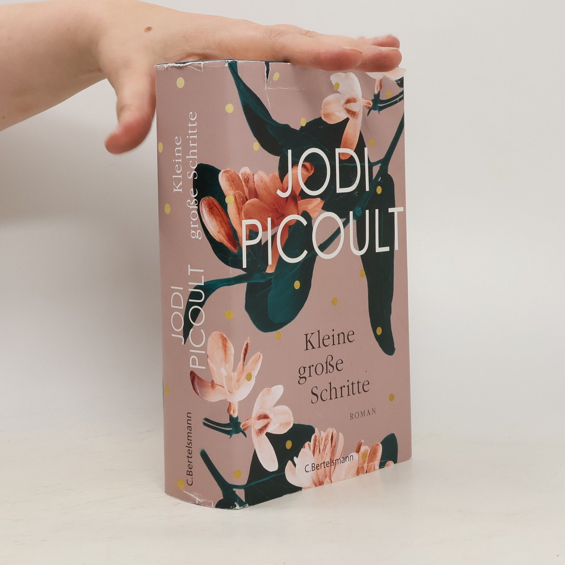 Jodi Picoult Kleine große Schritte