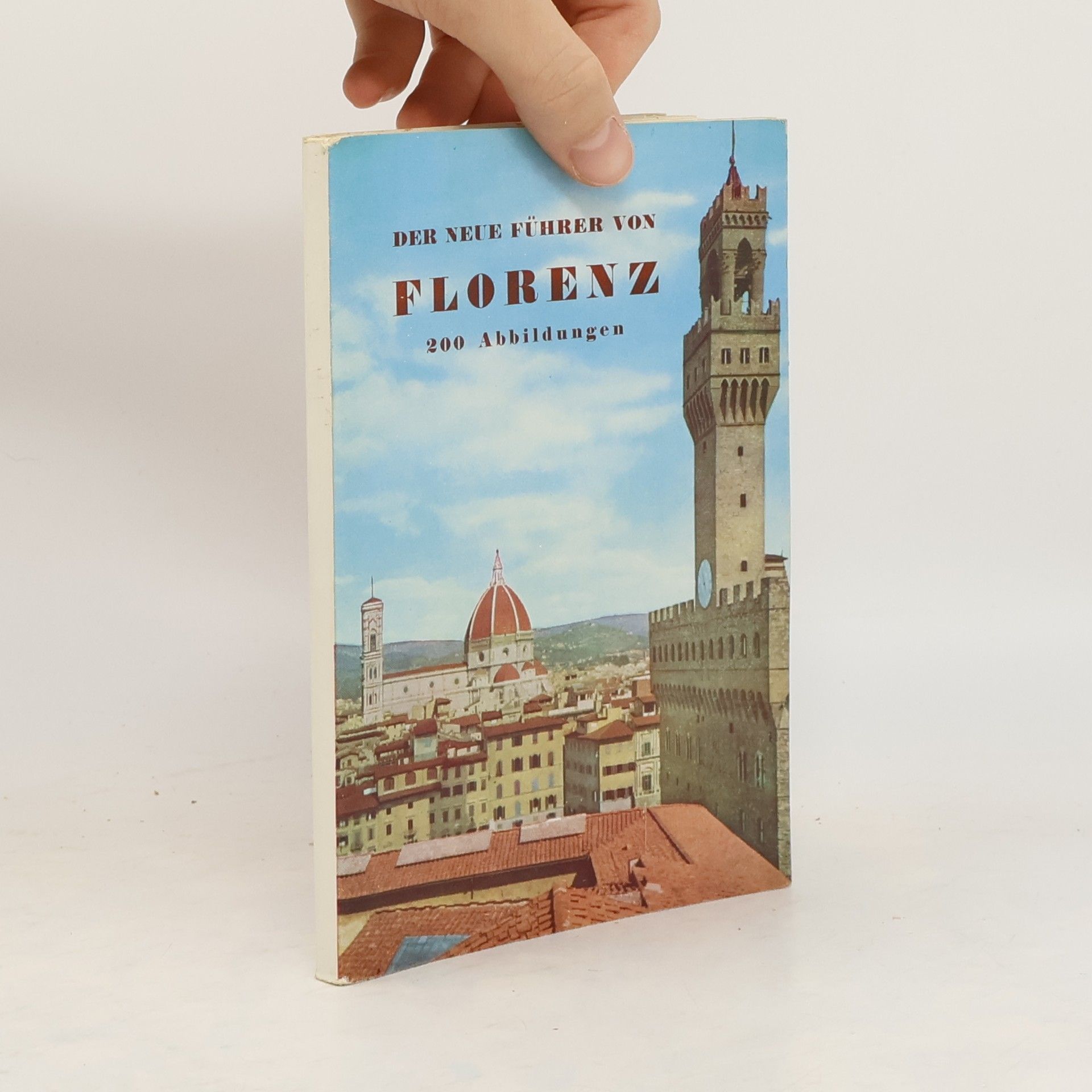 kolektiv Der neue Führer von Florenz