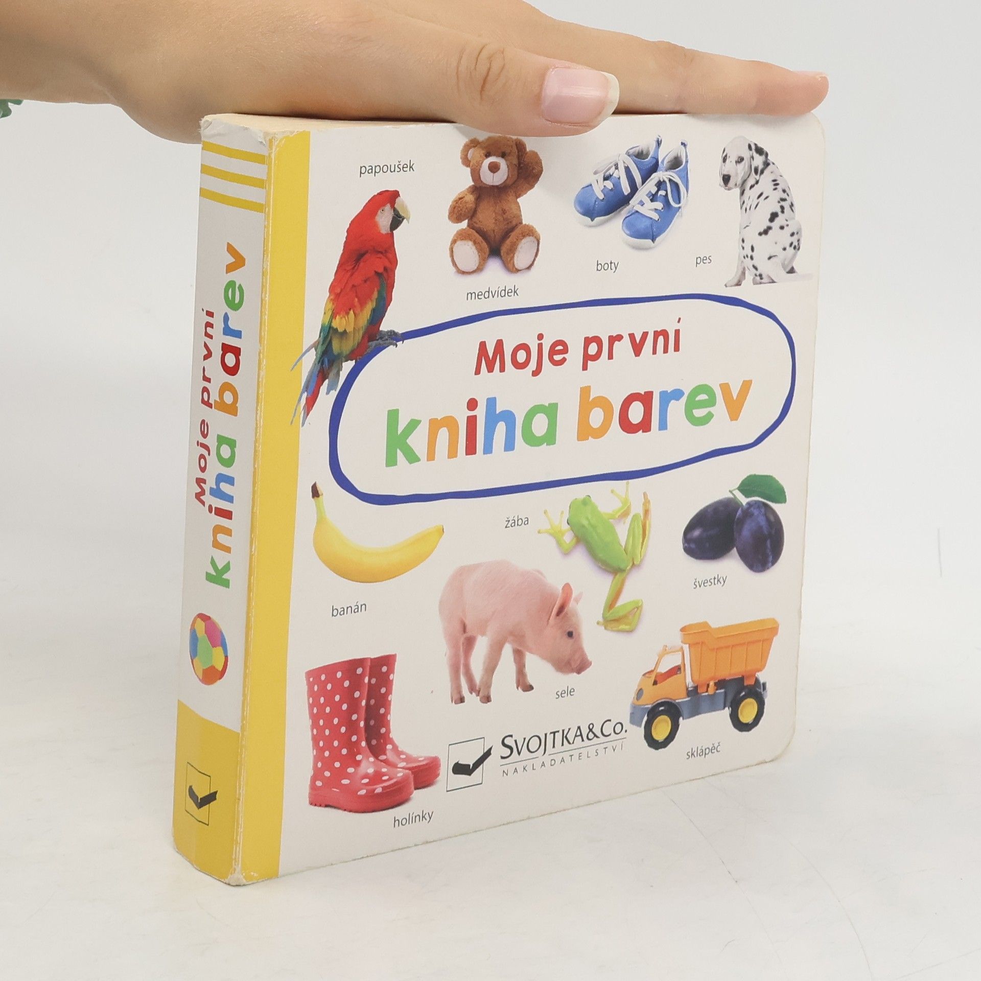 Autorenkollektiv Moje první kniha barev