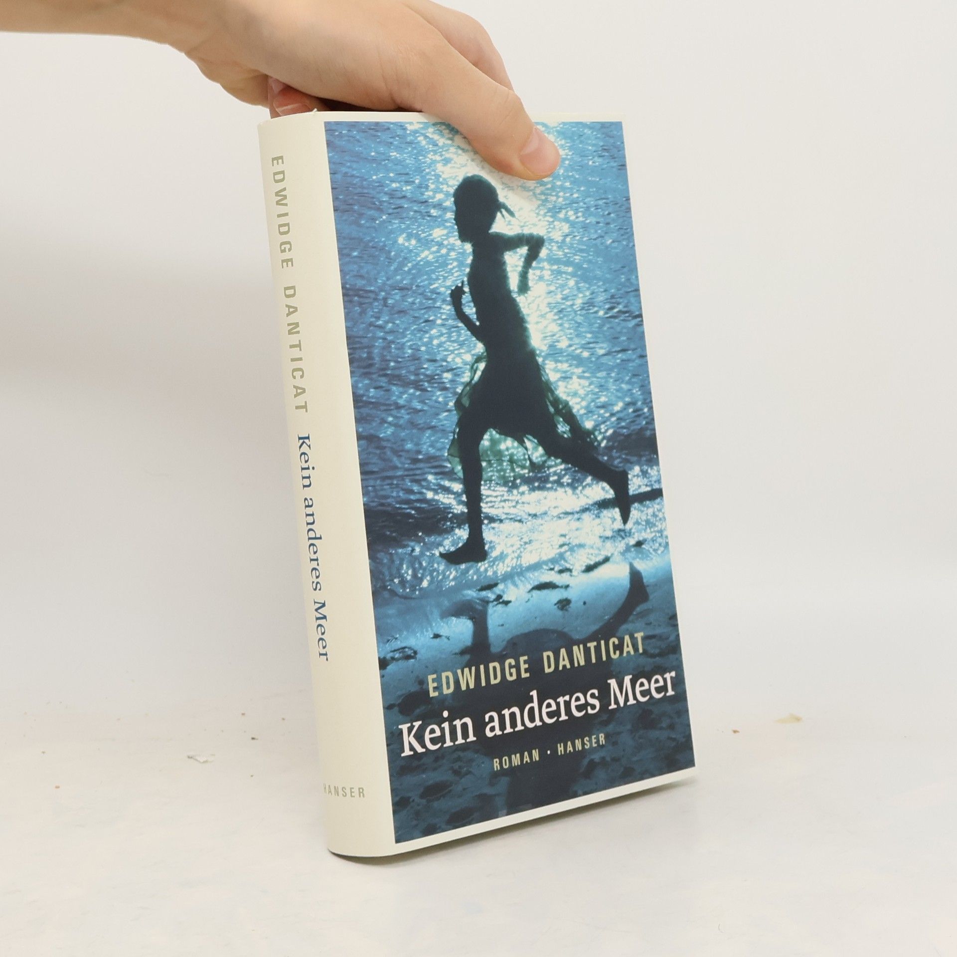 Edwidge Danticat Kein anderes Meer