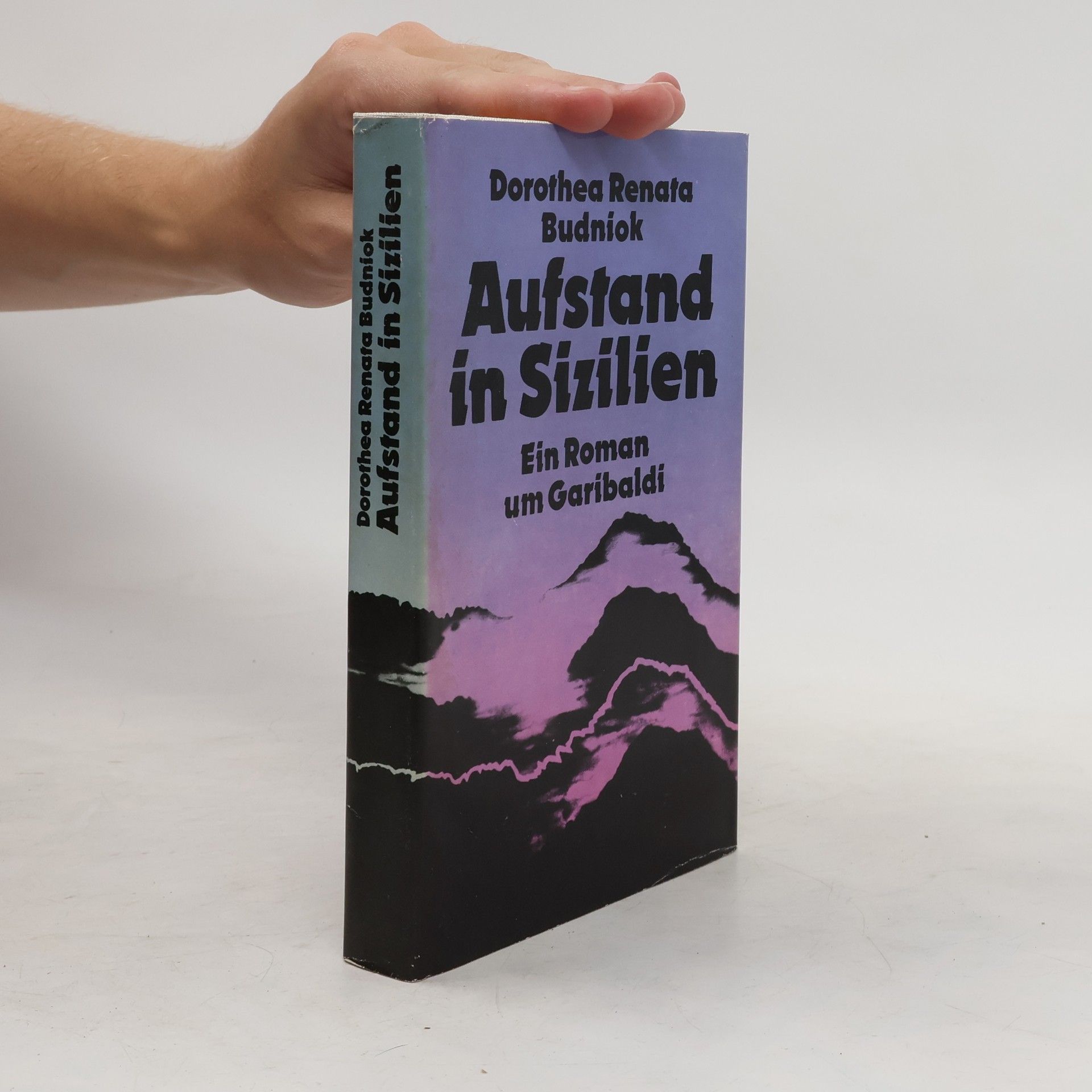 Dorothea Renata Budniok Aufstand in Sizilien