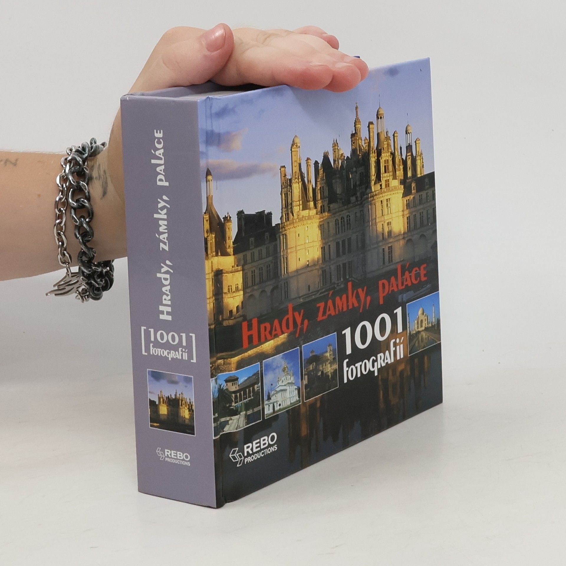 Françoise Bayle Hrady, zámky, paláce: 1001 fotografií