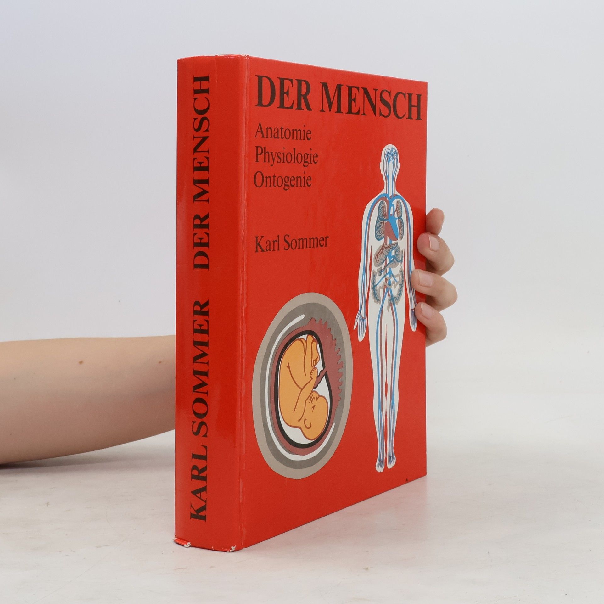 Karl Sommer Der Mensch